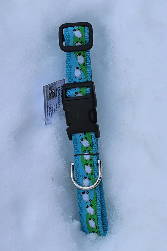 1" Jumping Sheep on turquoise