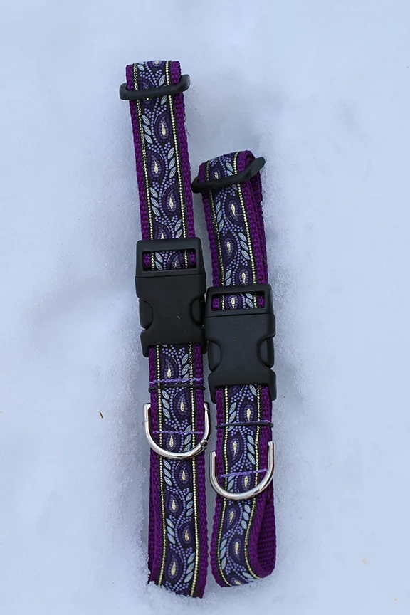 Purple Feather on Purple