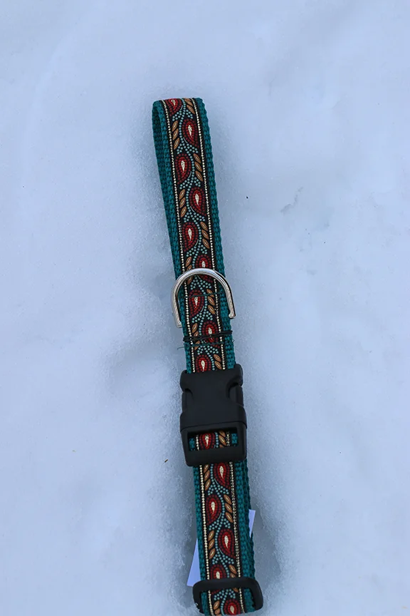 Autumn Feather on Teal