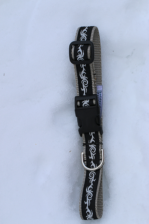 Black Iron on Silver