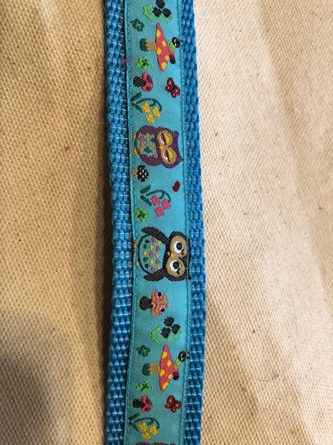  Who Loves You on turquiouse