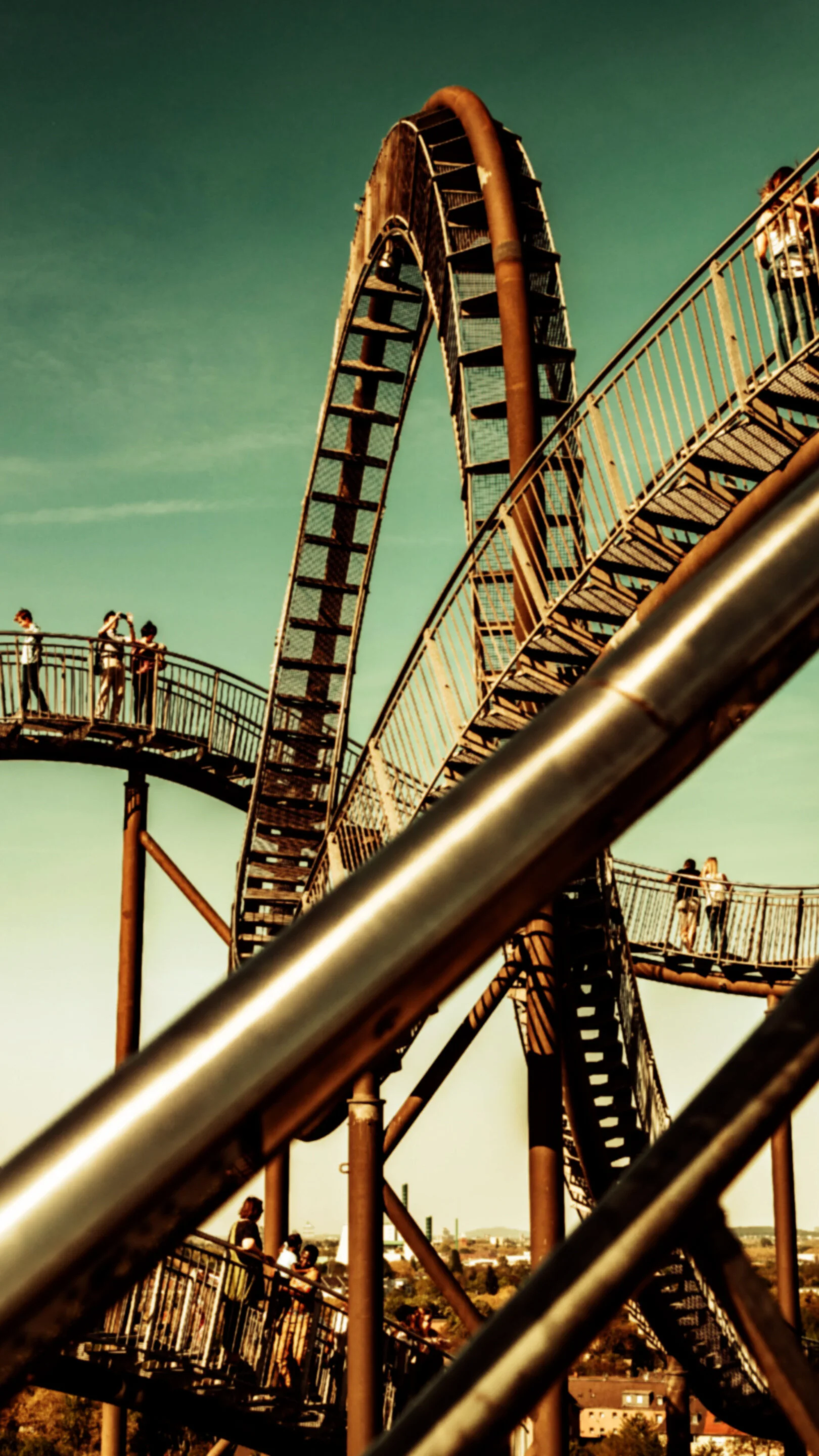 Infertility: A Roller Coaster Ride