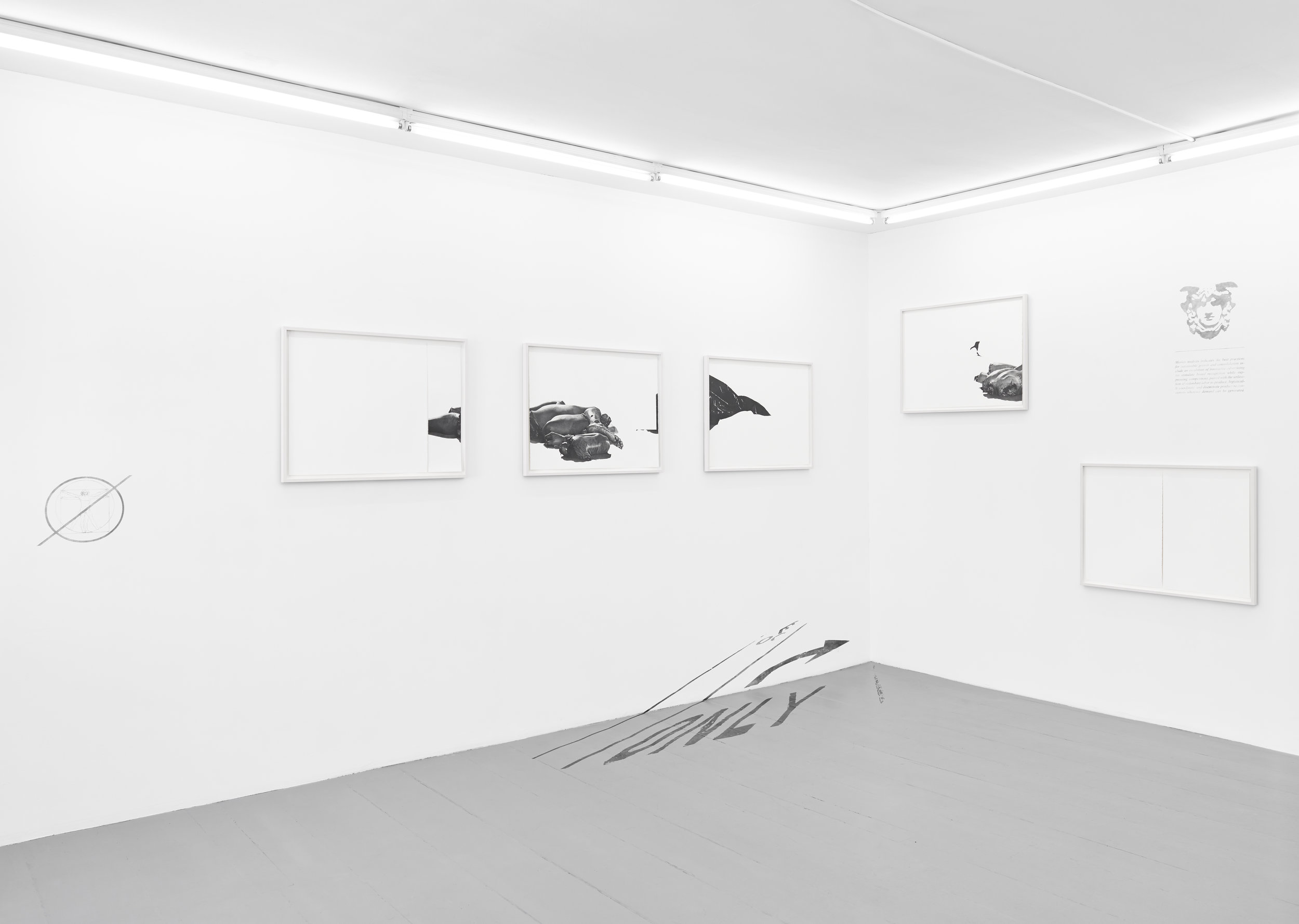  “post-human (unidentified, Cuernavaca, 2011)” graphite on paper, graphite on wall and floor, dimensions variable, 2015. 