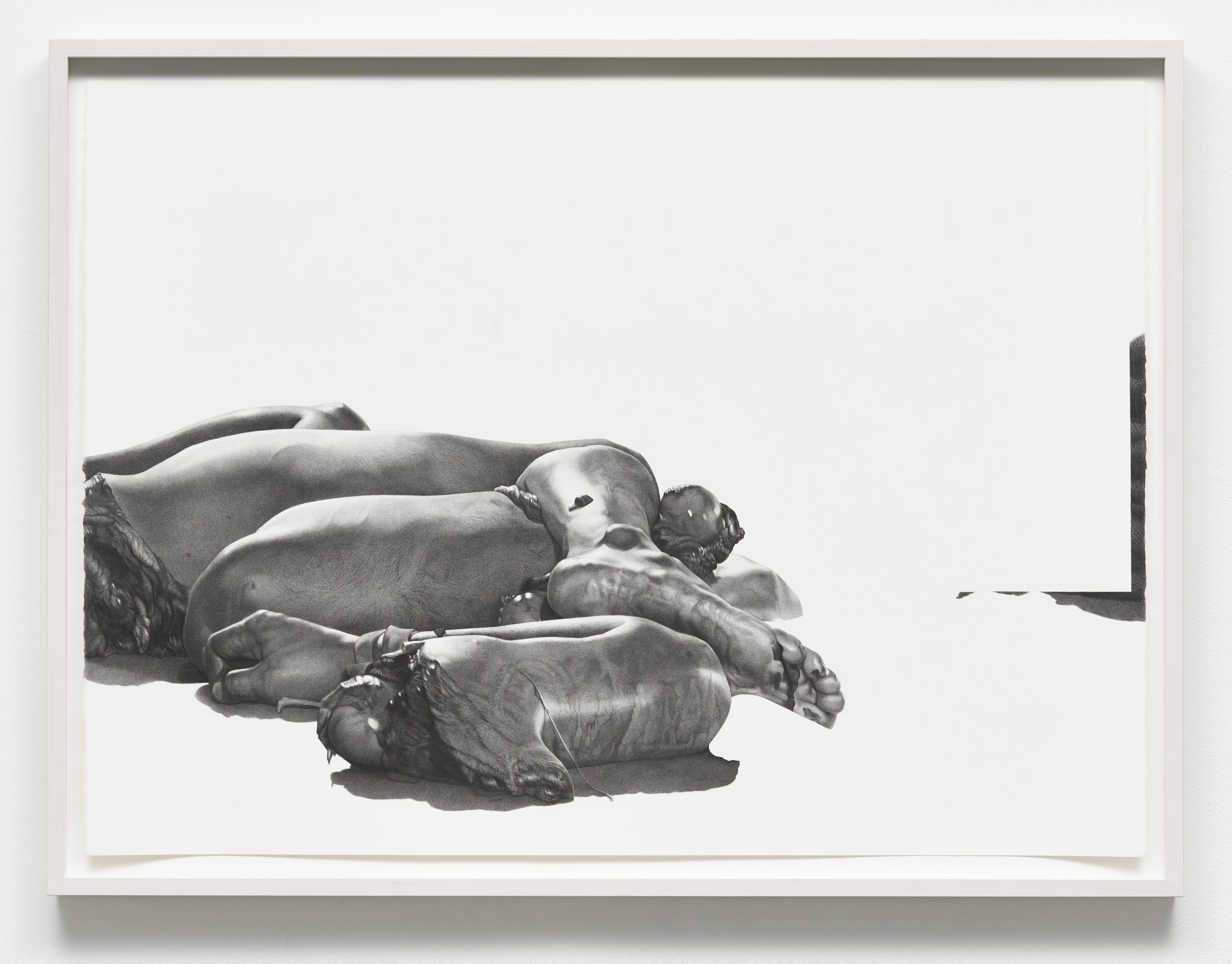  detail - “post-human (unidentified, Cuernavaca, 2011)” graphite on paper, fragment 56 x 76 cm, 2015. 