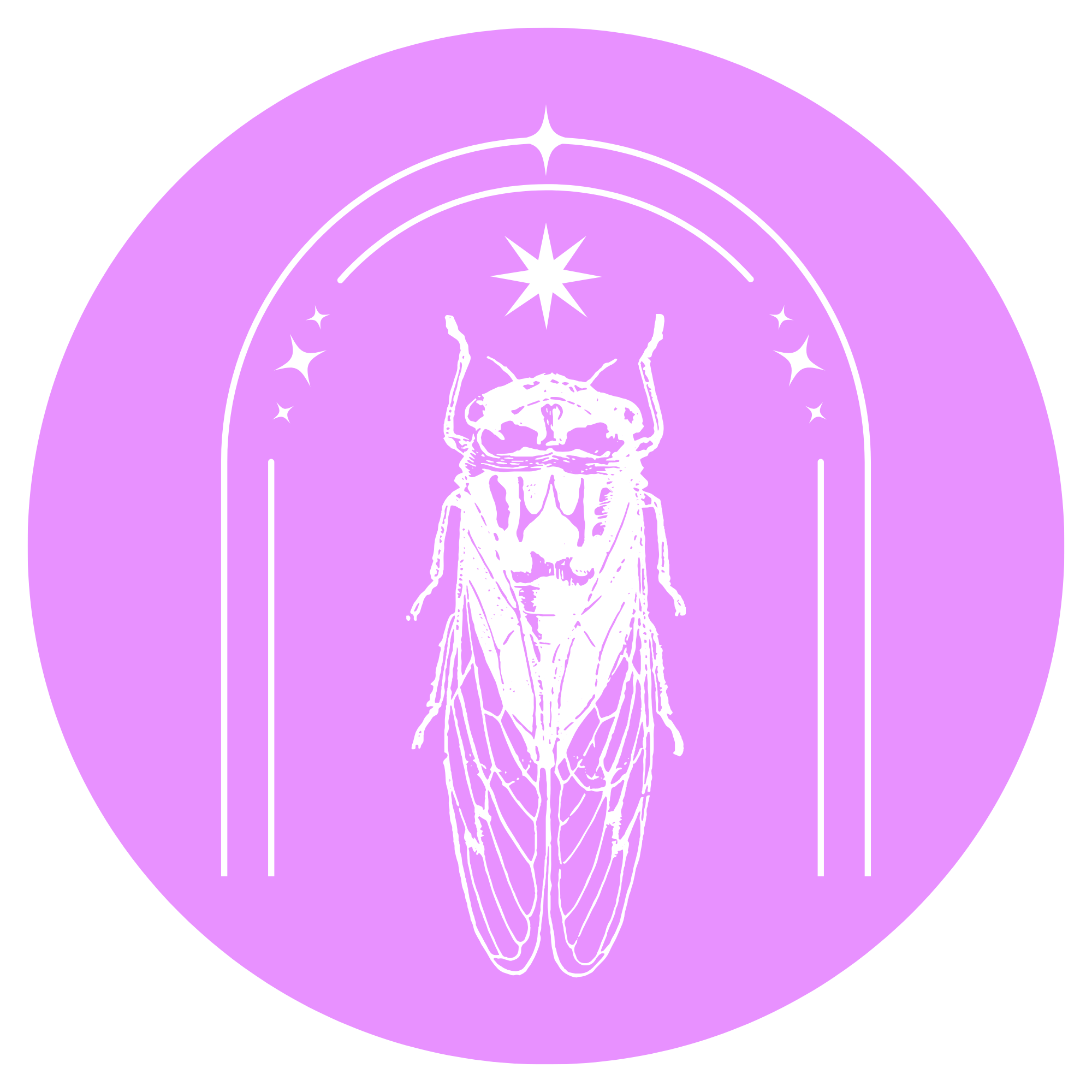 Multimedia Artist &amp; Designer