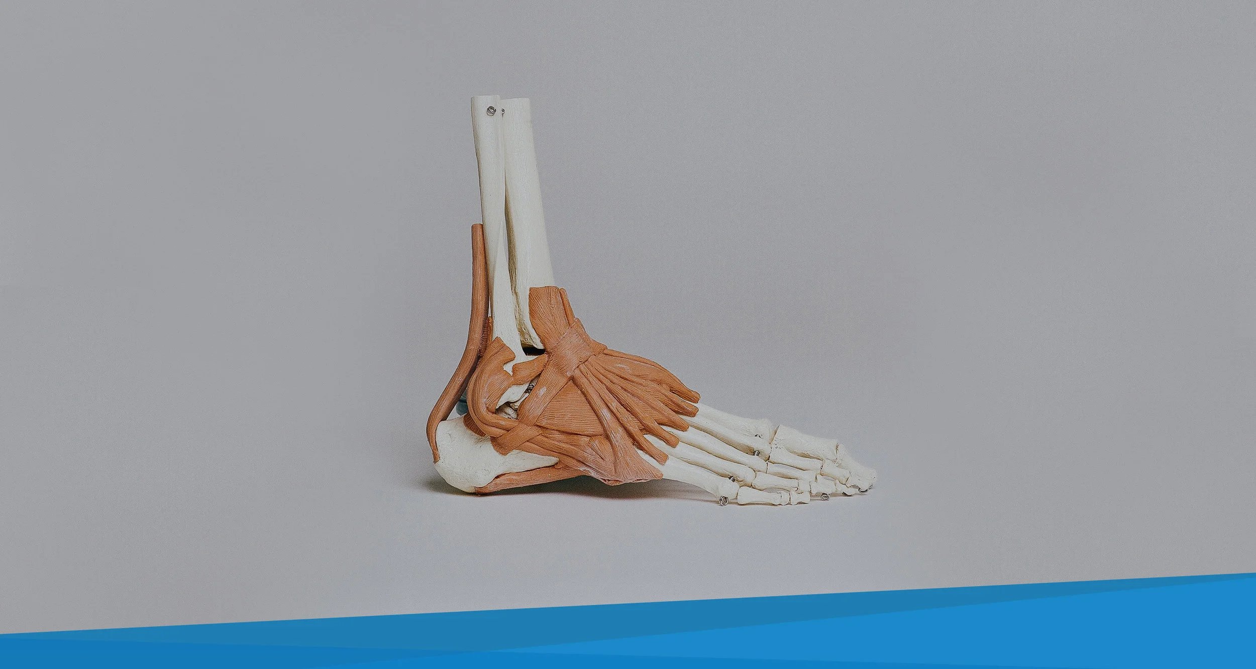 Collingwood_Banner_Orthotics.jpg