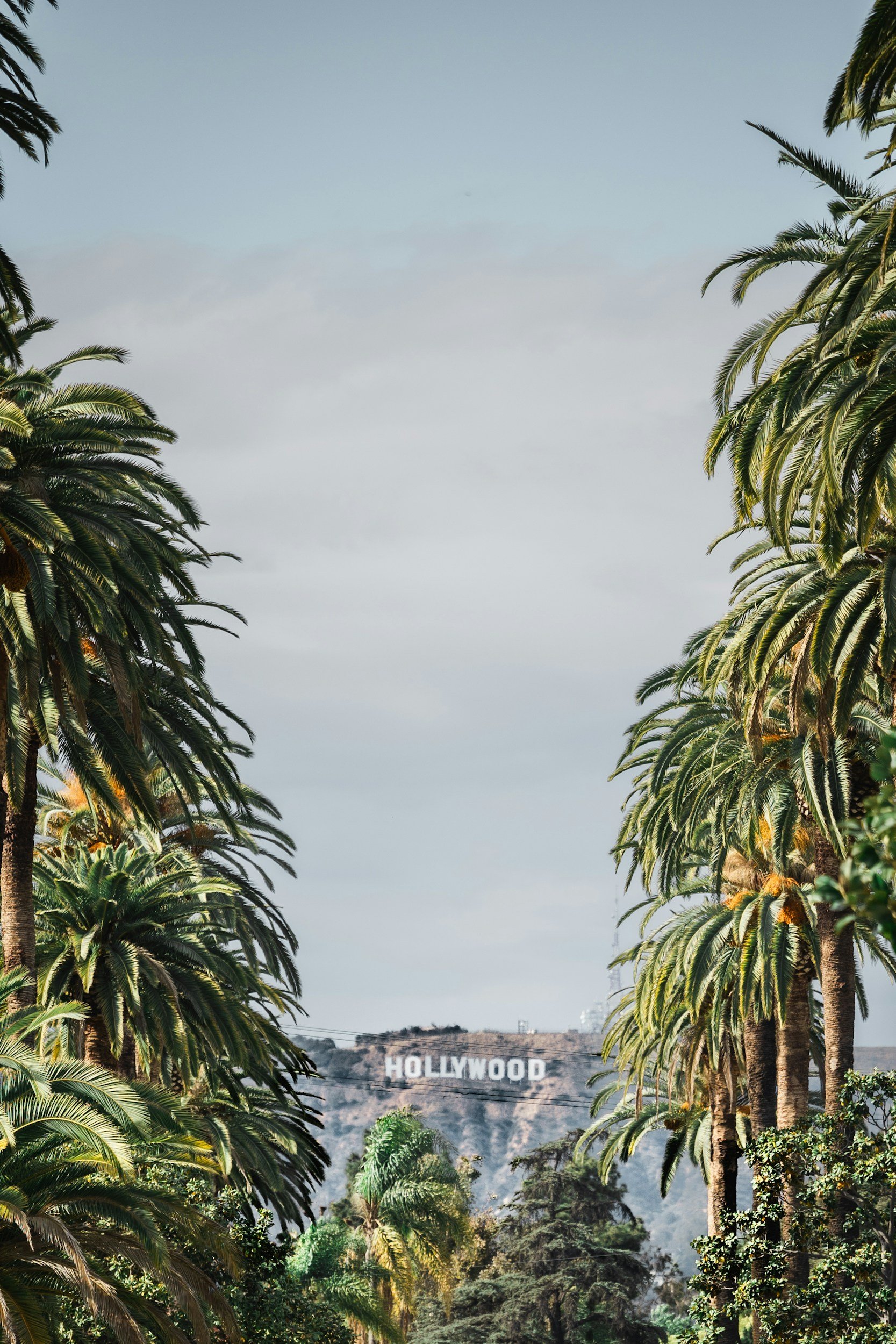 unsplash-image-ZoZQmefhS9c.jpg