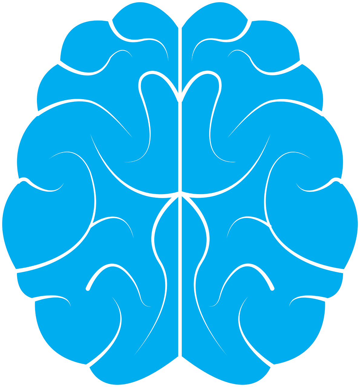 brain-1710293_1280.png