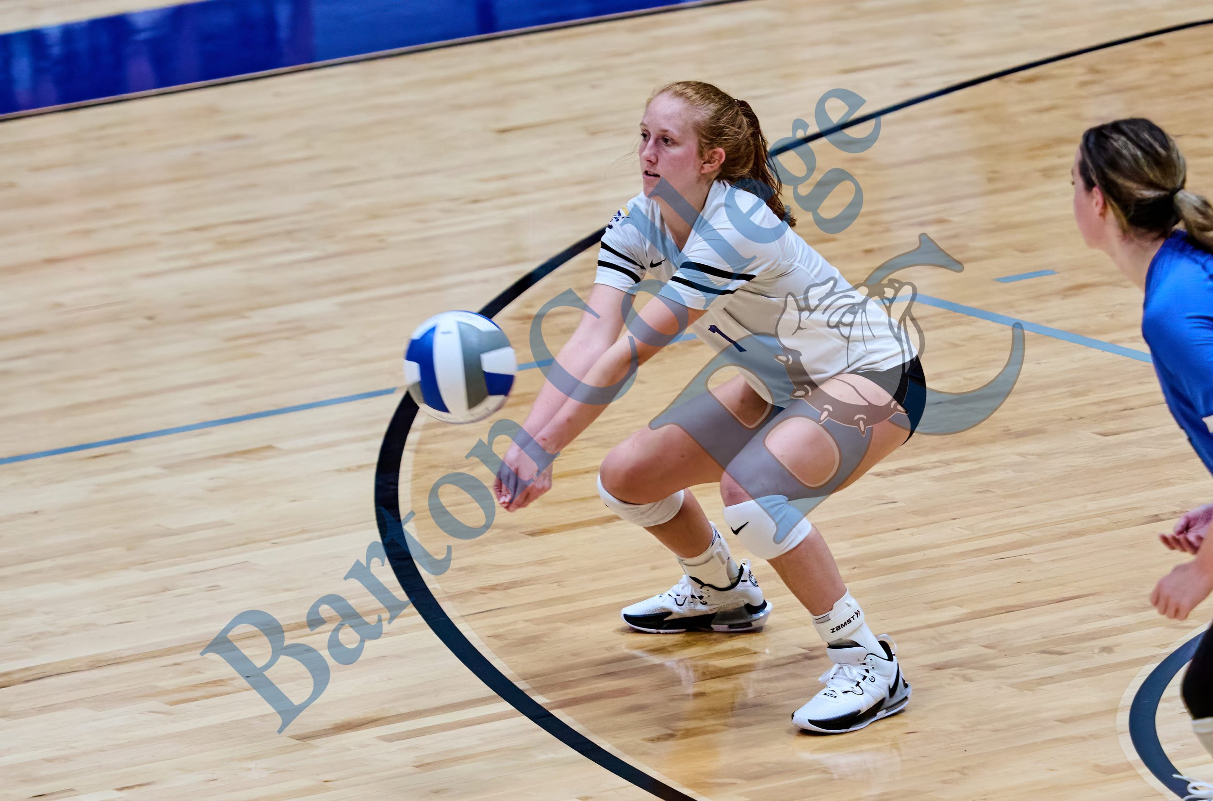 DSC_2953760.jpg