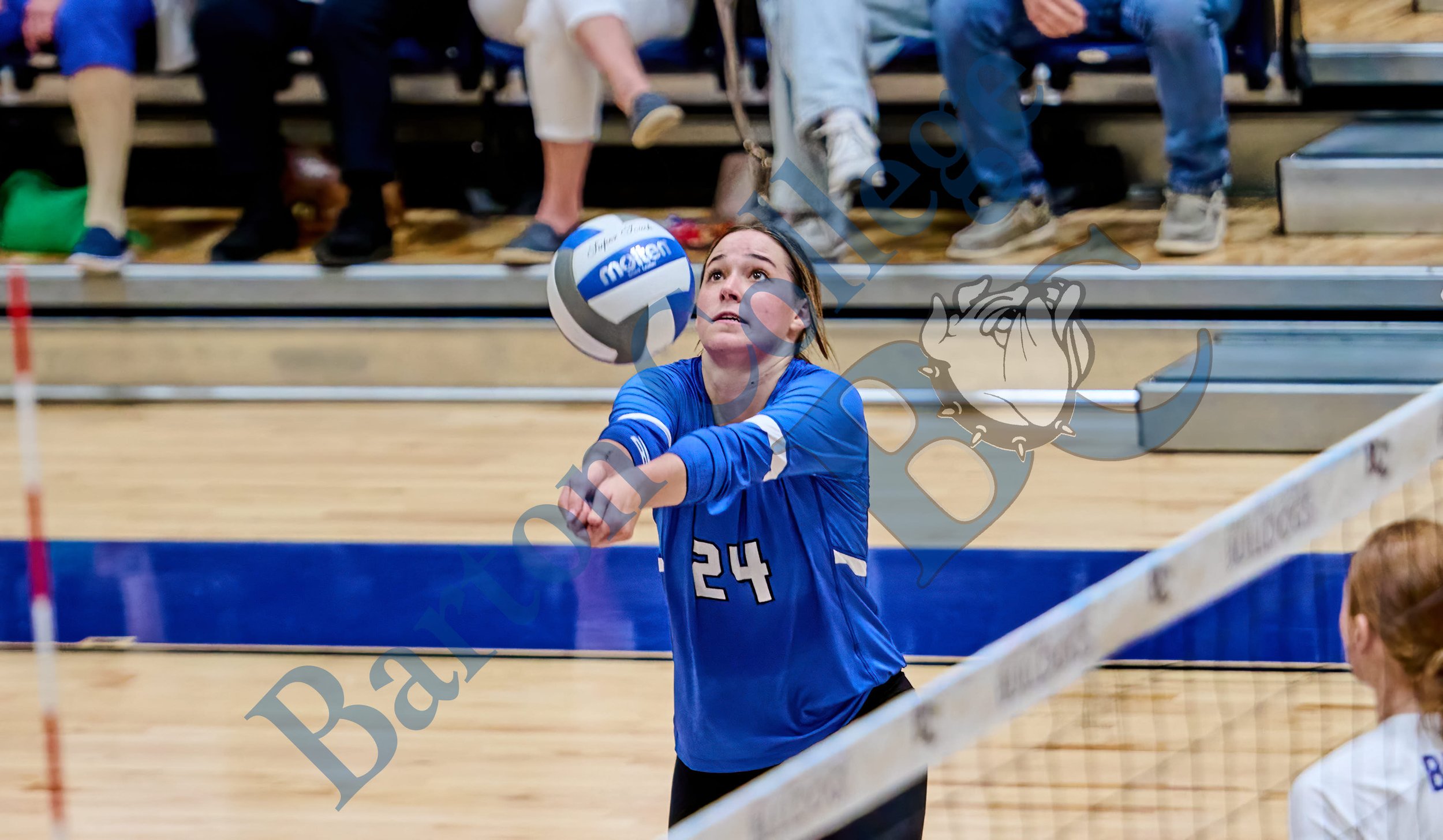 DSC_34601218.jpg