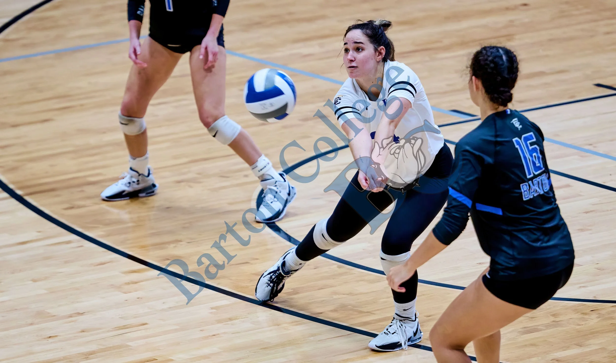 DSC_539597.jpg