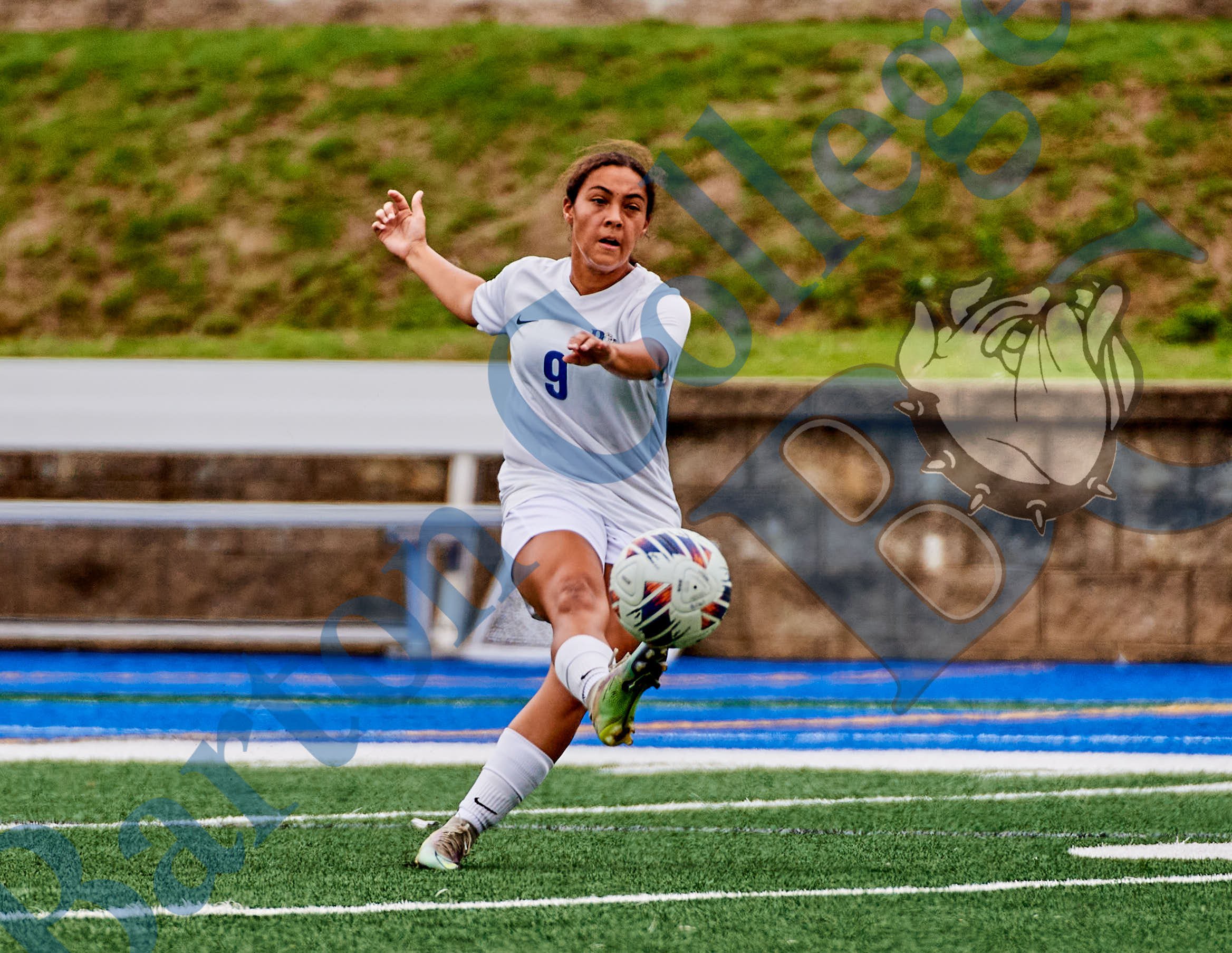 GFR_6615109.jpg
