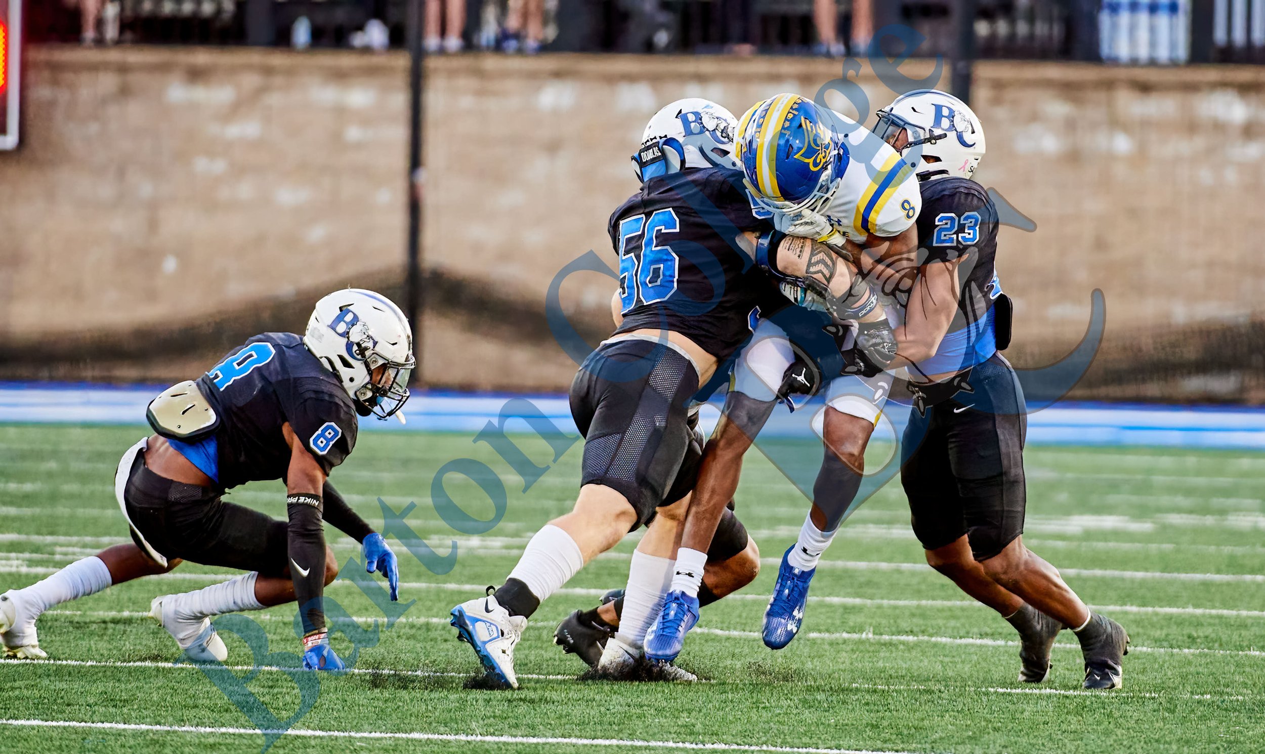 GFR_84811790.jpg