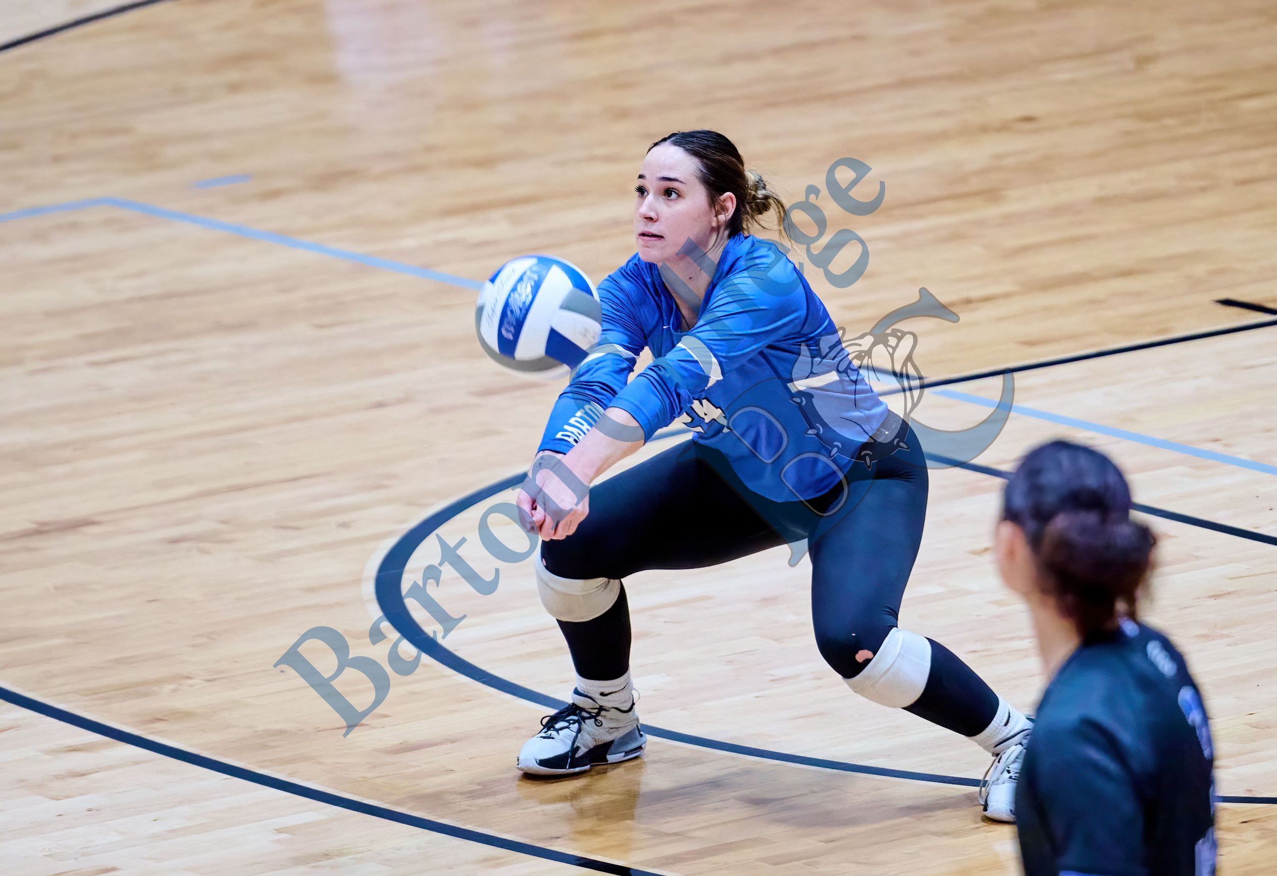 DSC_8393685.jpg