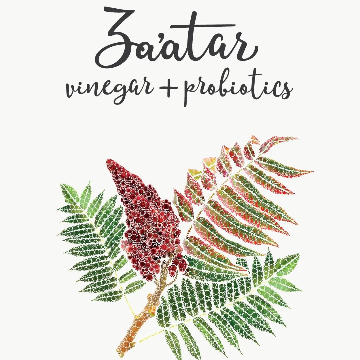 Za'atar Vinegar + Probiotics (ORDER VIA EMAIL)
