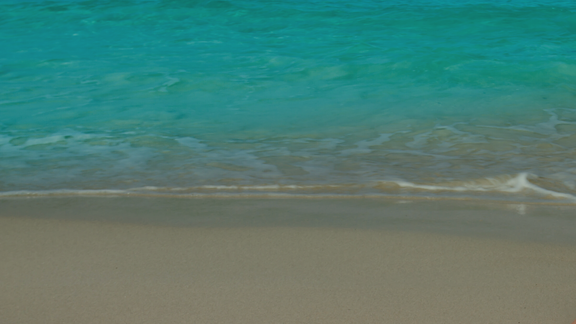 Copy of Copy of Cara Social Graphics (10).png