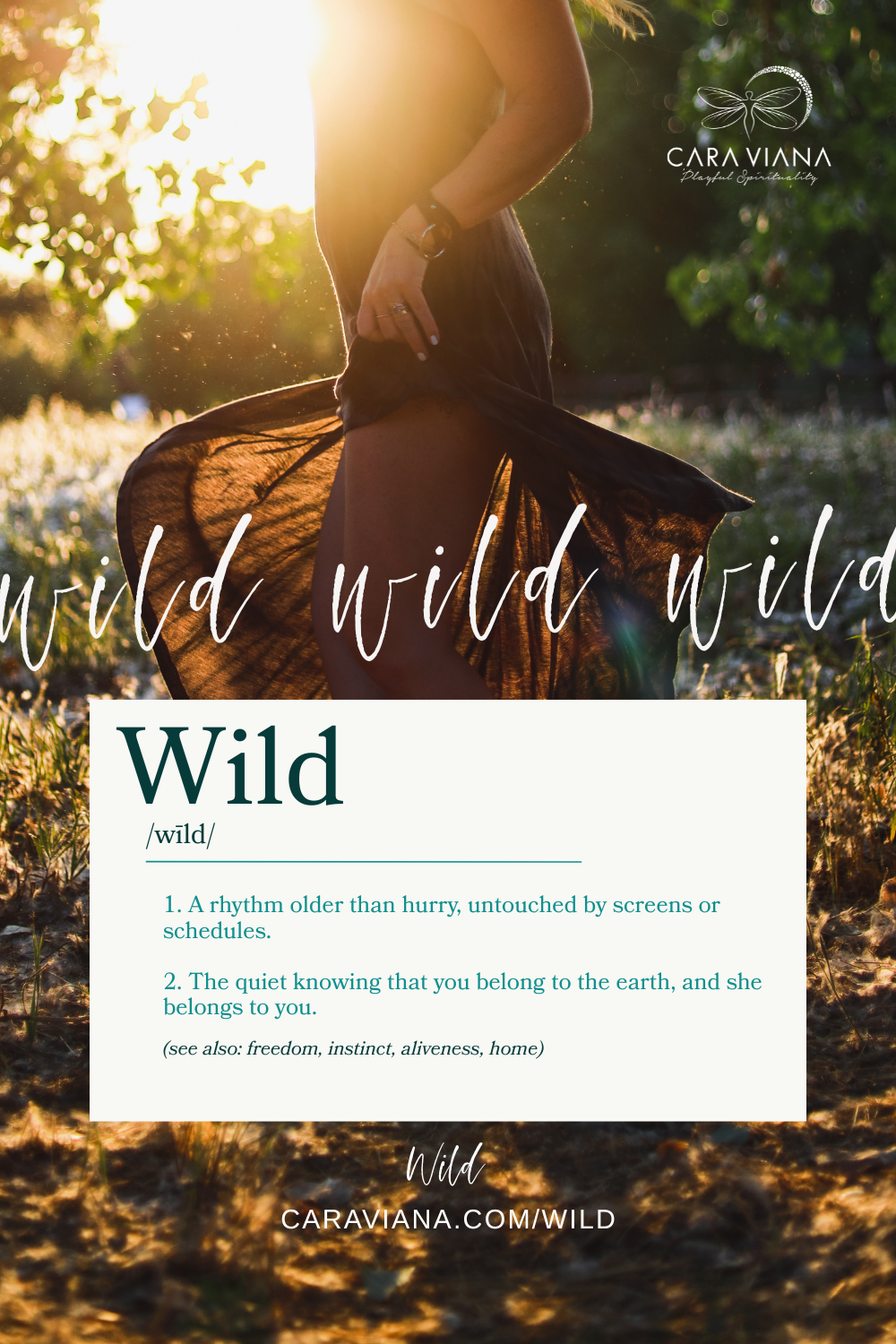 Episode 60 - Call of the Wild