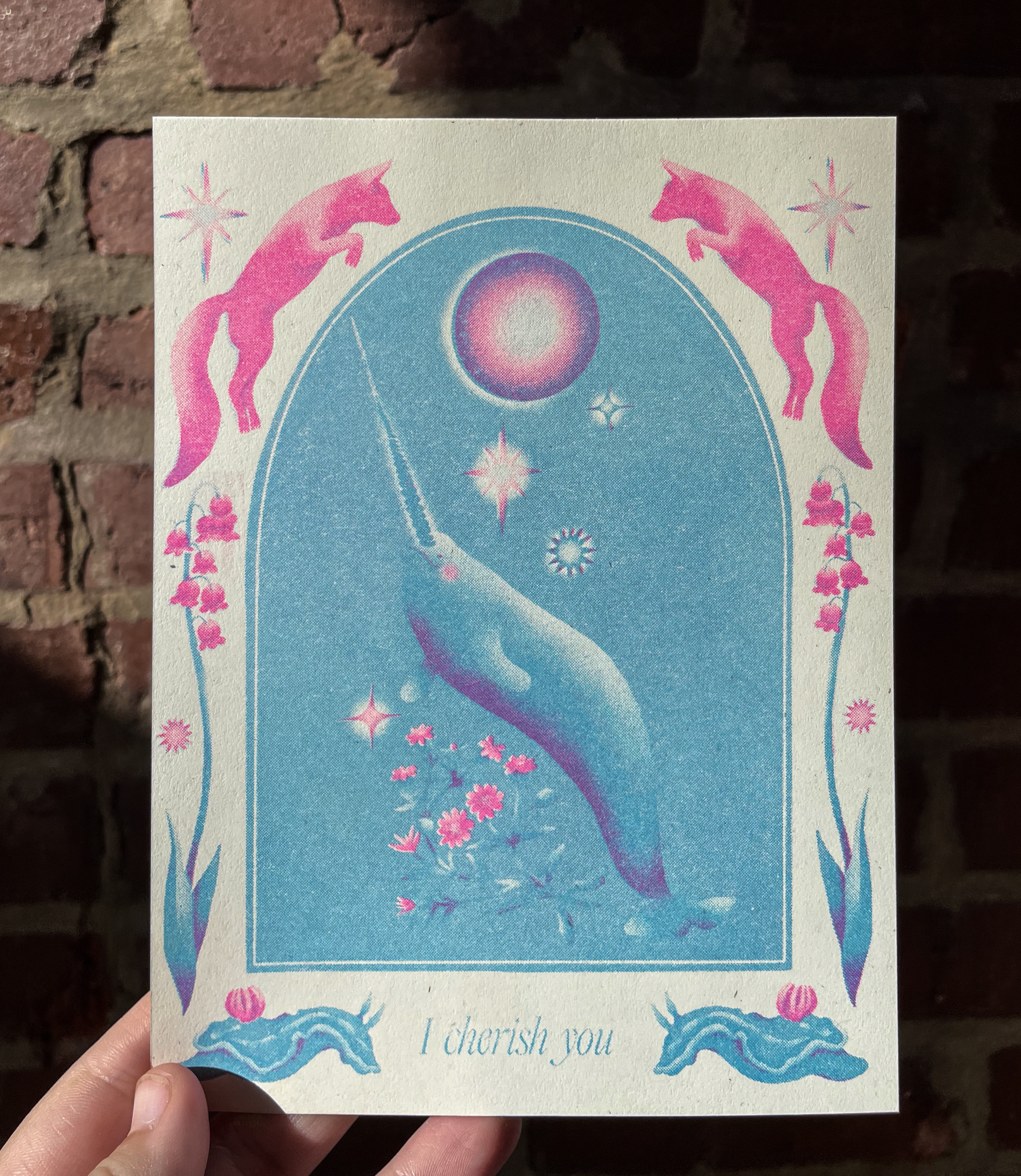 narwhal-back.png