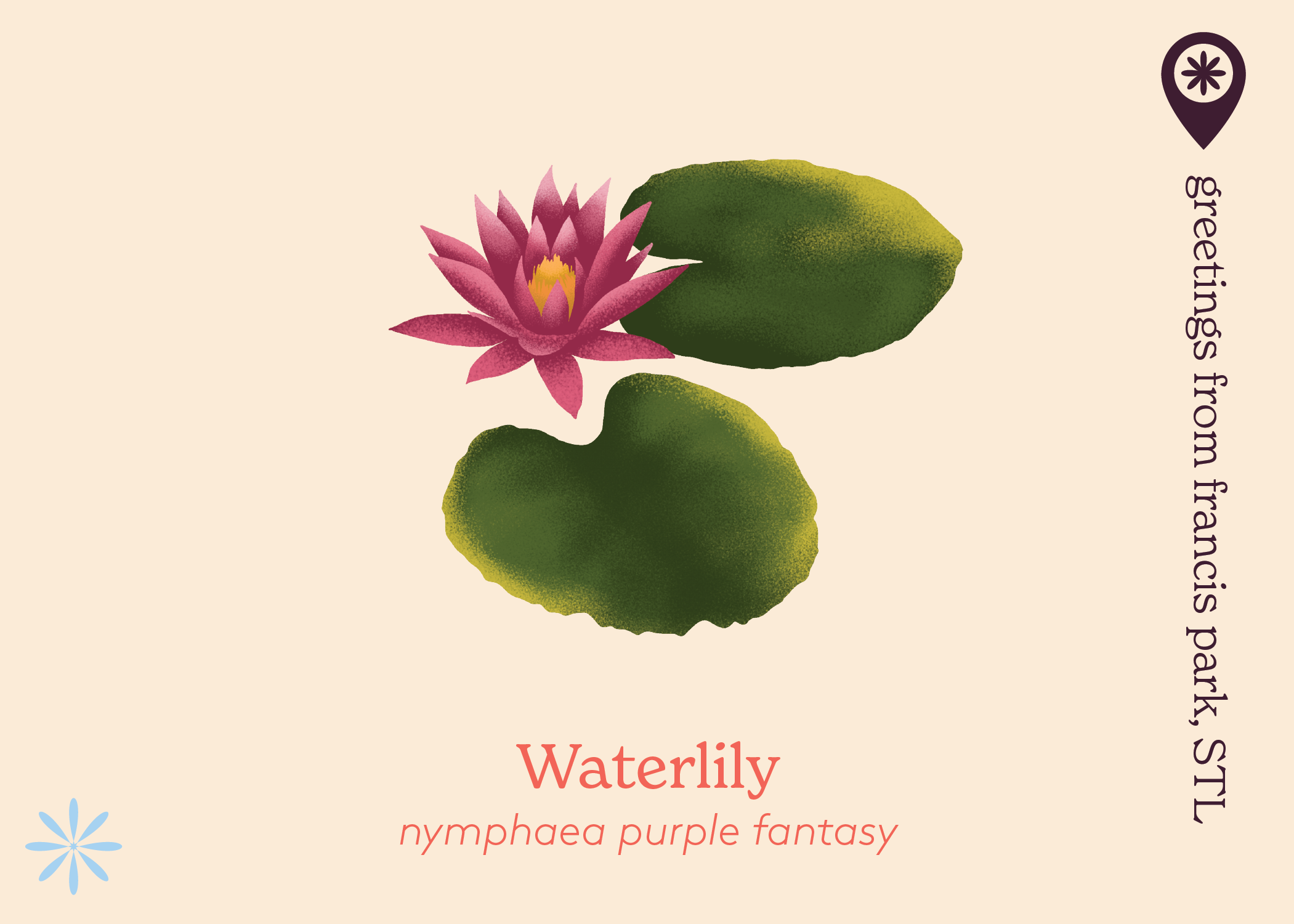 postcards-11.png