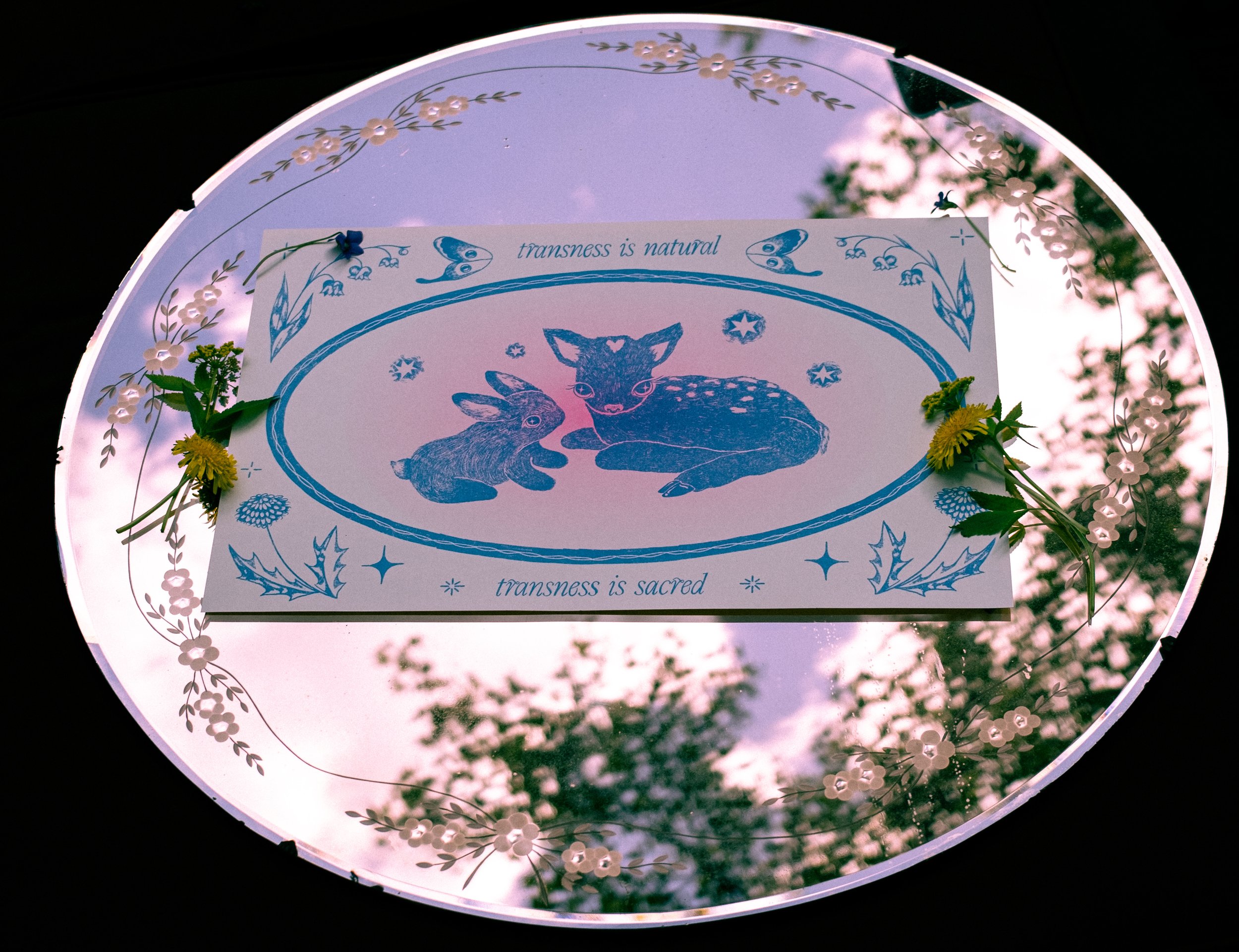 washi angle-1.jpeg
