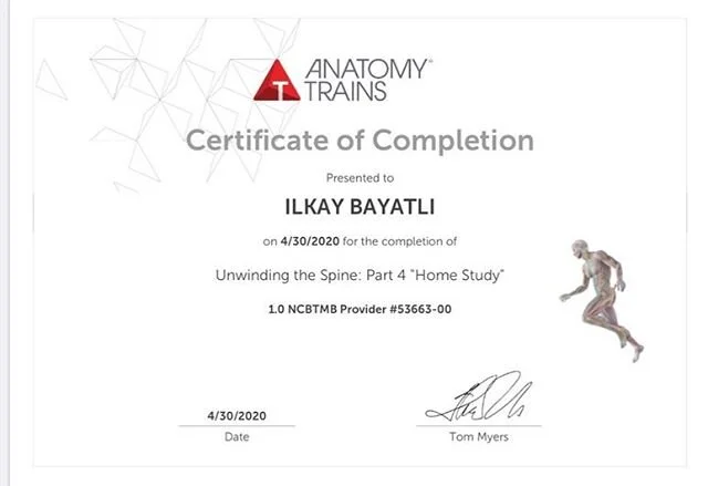 Quarantine with Tom Myers:
&ldquo;Everything is connected to everything else... We&rsquo;ve been separating things out for individual muscle analysis for 400-500 years now and we think that&rsquo;s the way it is. That&rsquo;s not the way it is! That&