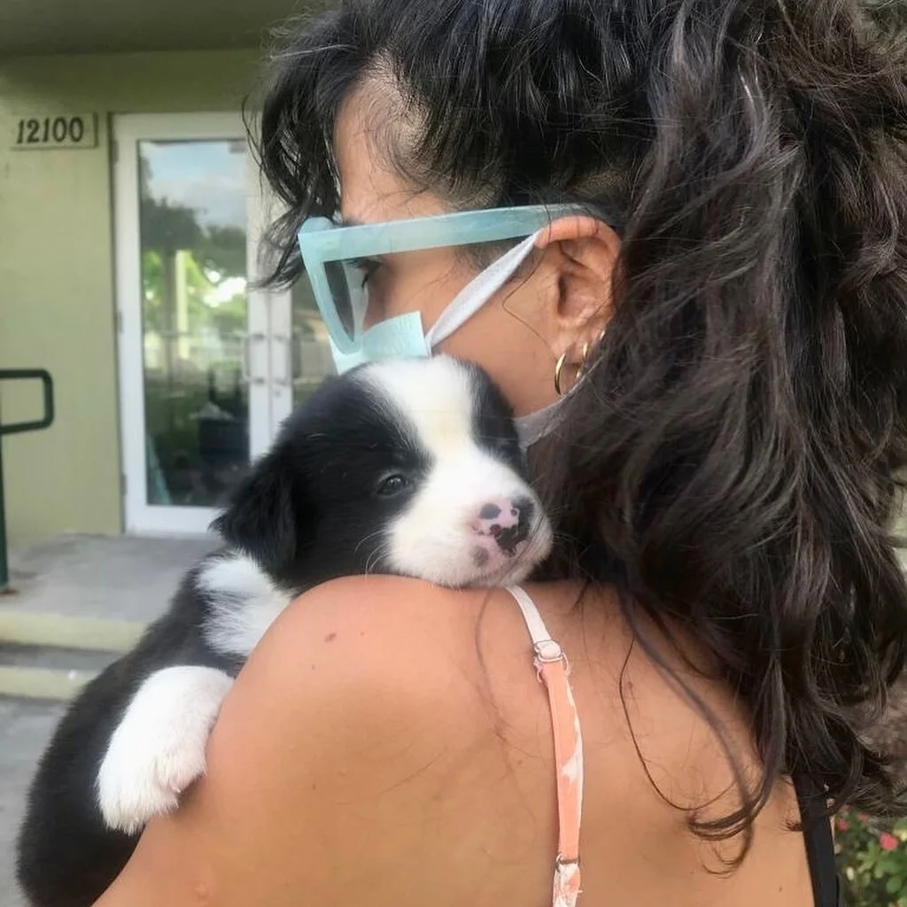 A year ago today, we met with this baby girl. She was 6 weeks old, separated from her mother and siblings too early. She had fleas all around her body and worms inside.

A lot changed since then. She is over a year now, full of love. However, she is 