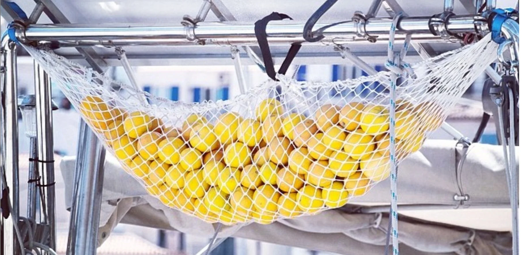 Screen Shot 2019-02-24 at 1.00.04 AM.png