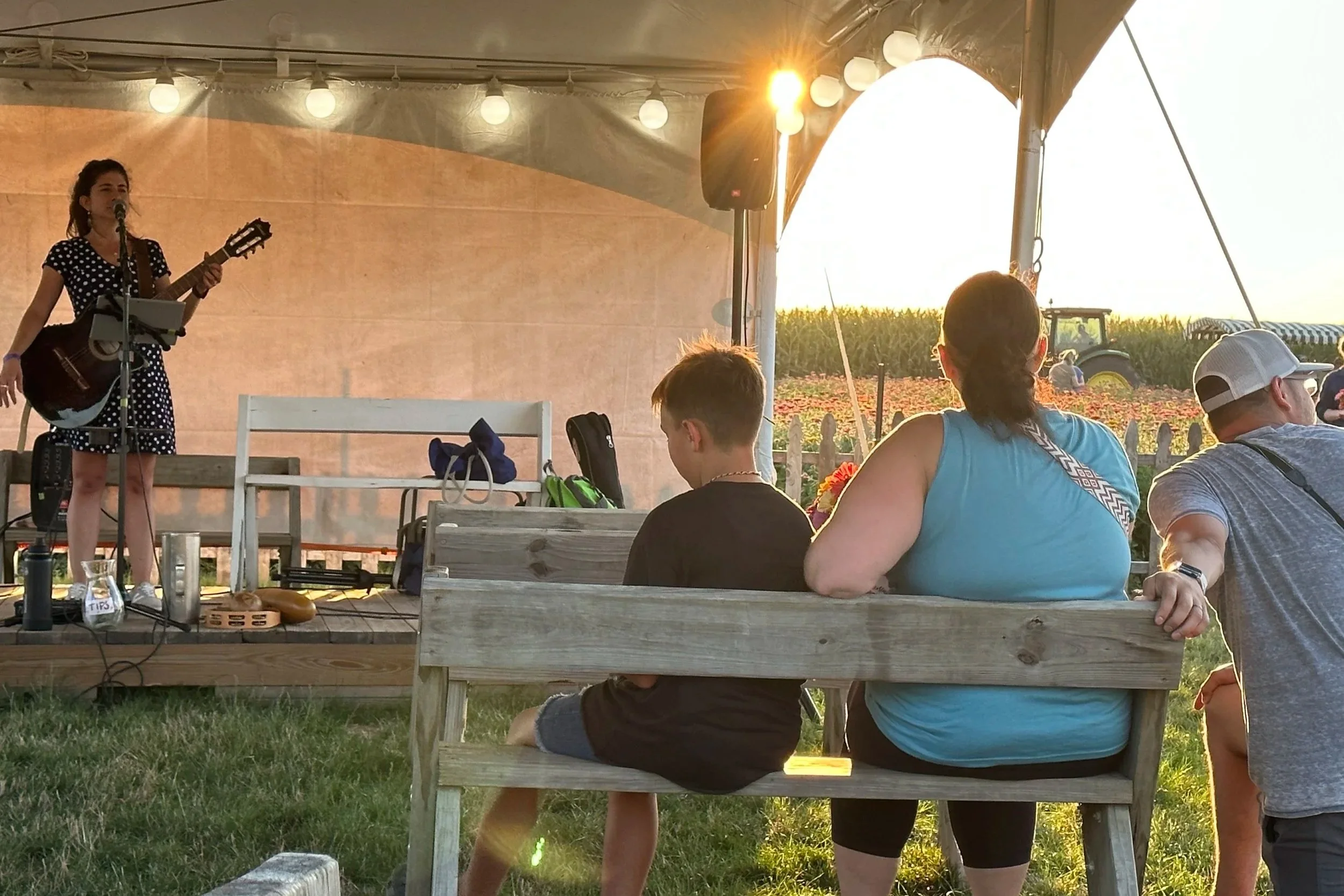 Solo Show at Schuster's Farm