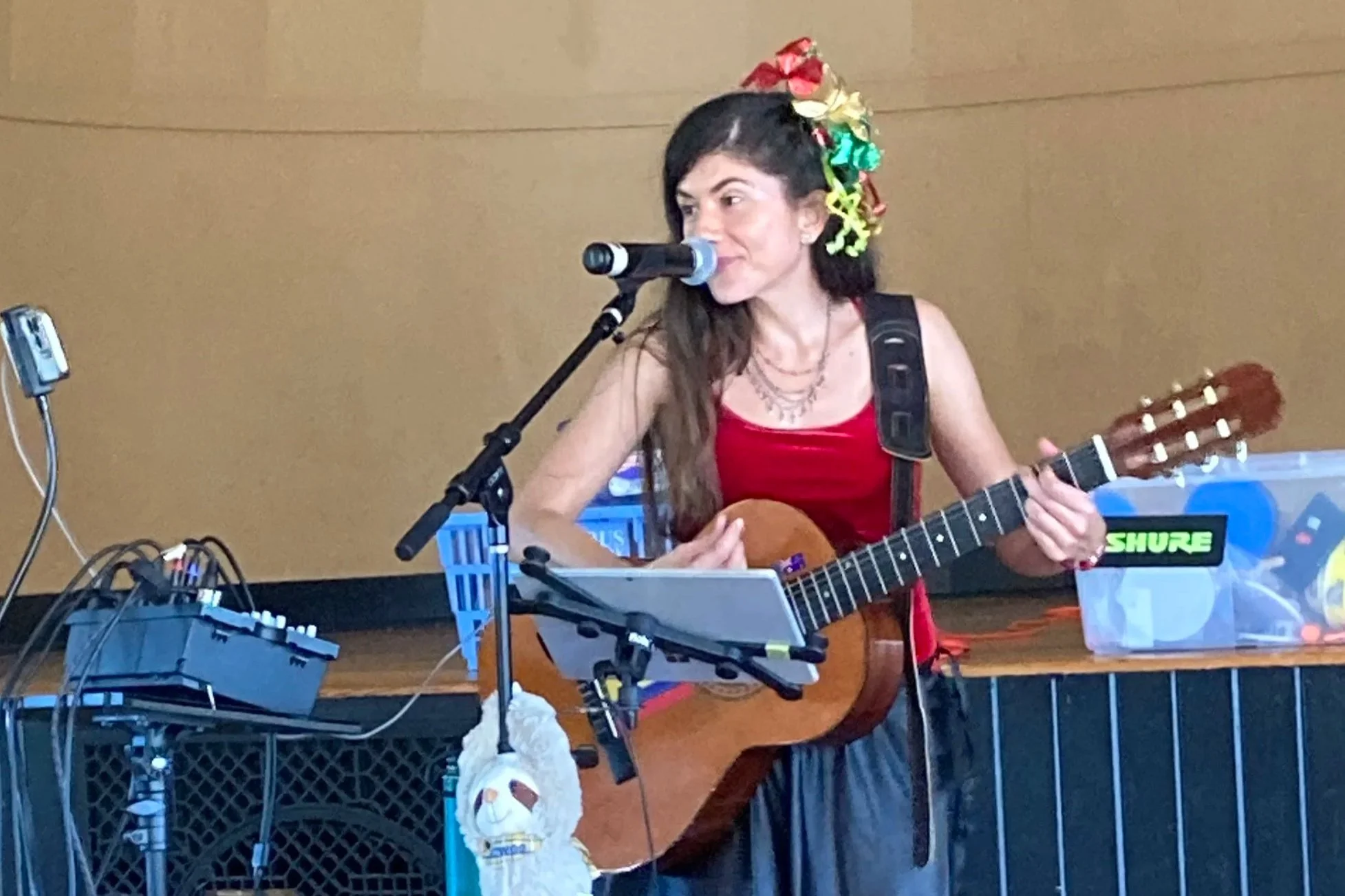 Music in the Grove - Solo Show