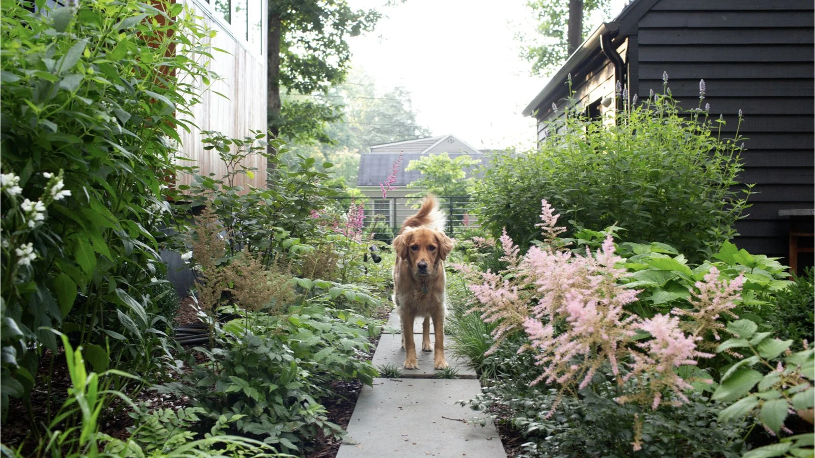 ‎the-rappahannock-river-company__virginia-charlottesville__homes__rugby-hills-redux__garden‎.jpeg