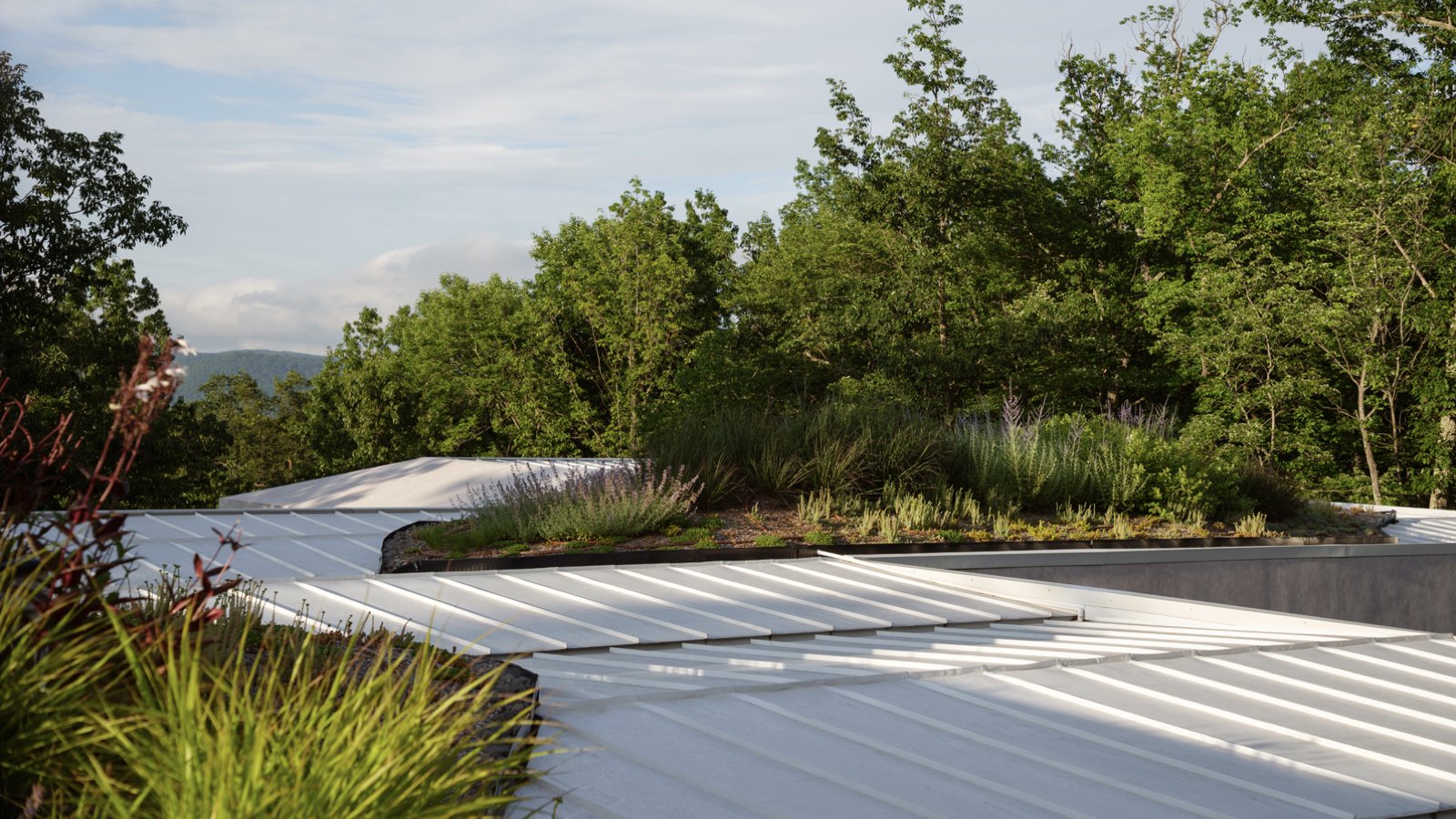 the-rappahannock-river-company__virginia-bluemont__homes__shenandoah-modern__roof-garden.jpeg