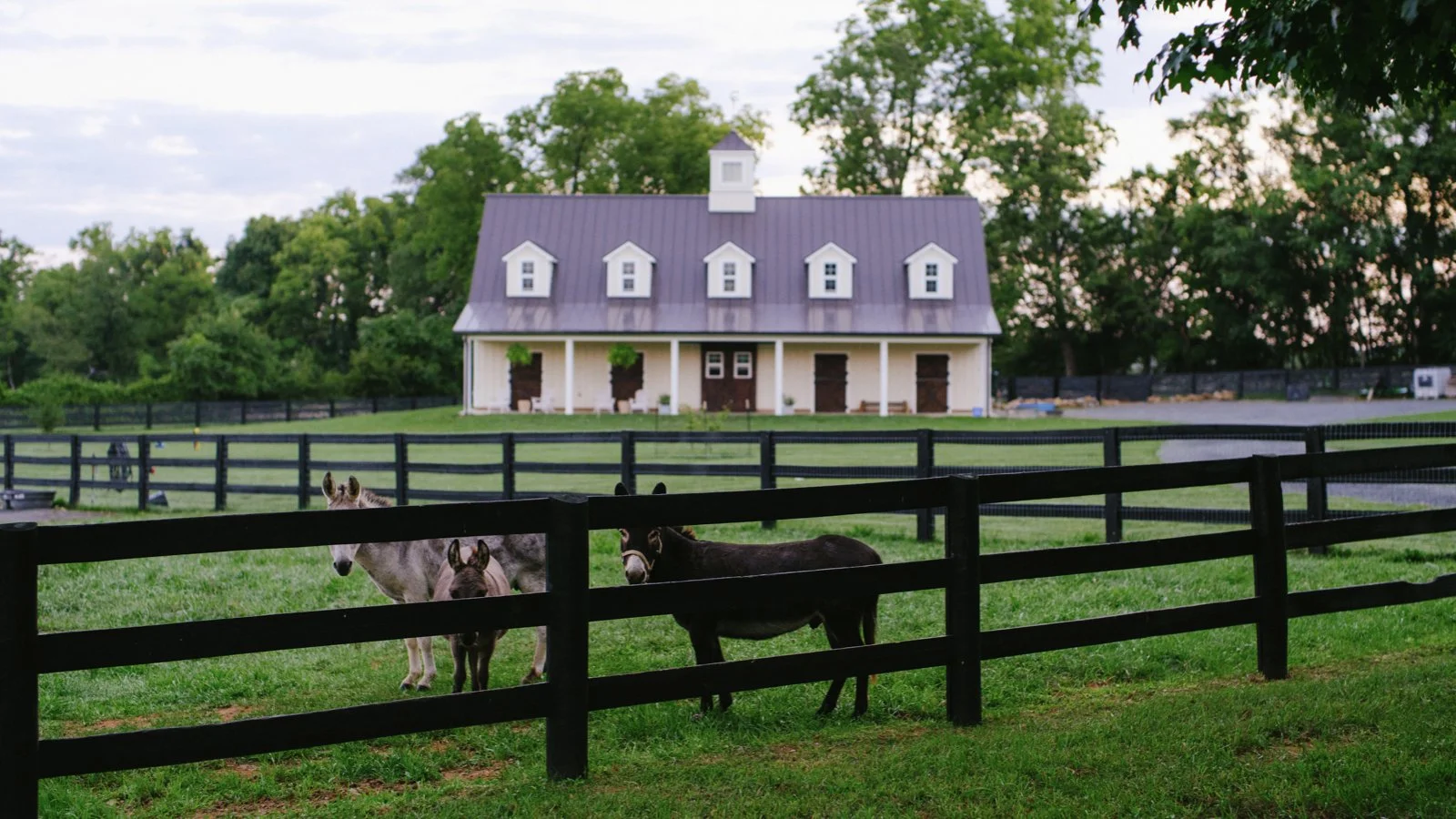 the-rappahannock-river-company__virginia-bluemont__homes__chance-farm__barn.jpeg