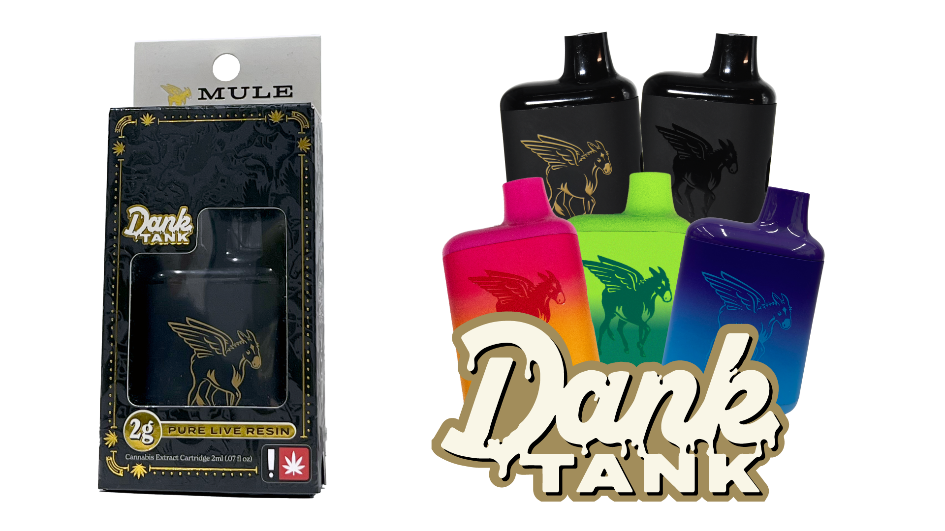 DankTank-Launch.png