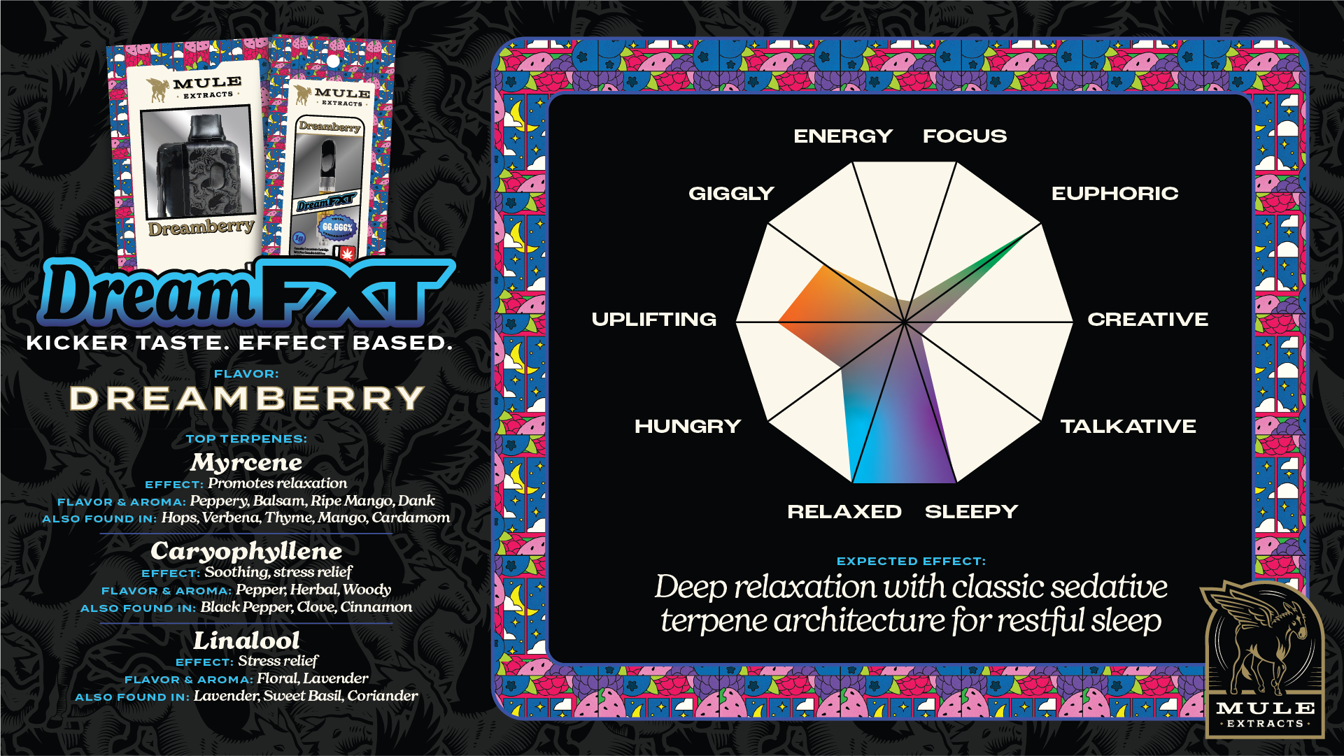 FXT-DeepDive-Dream.png