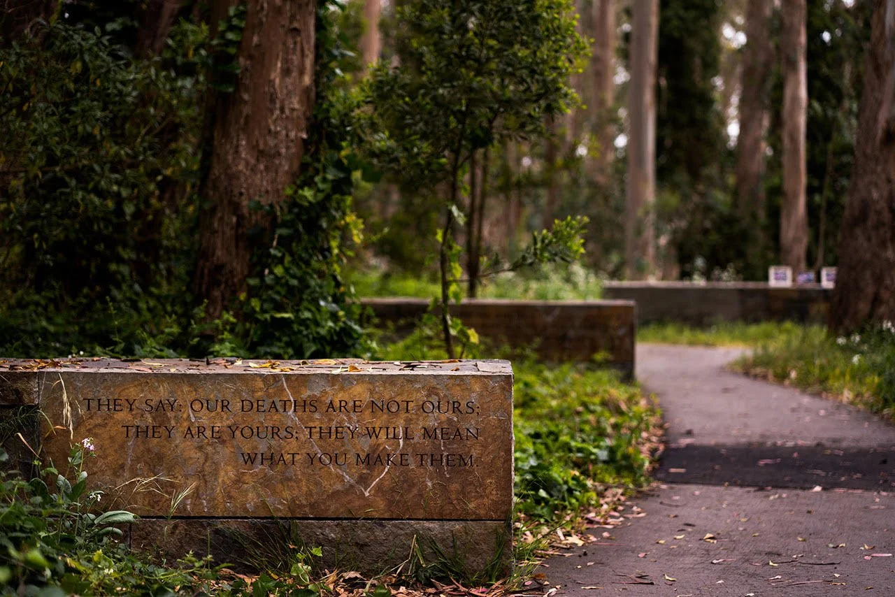 Heart And Armor Foundation