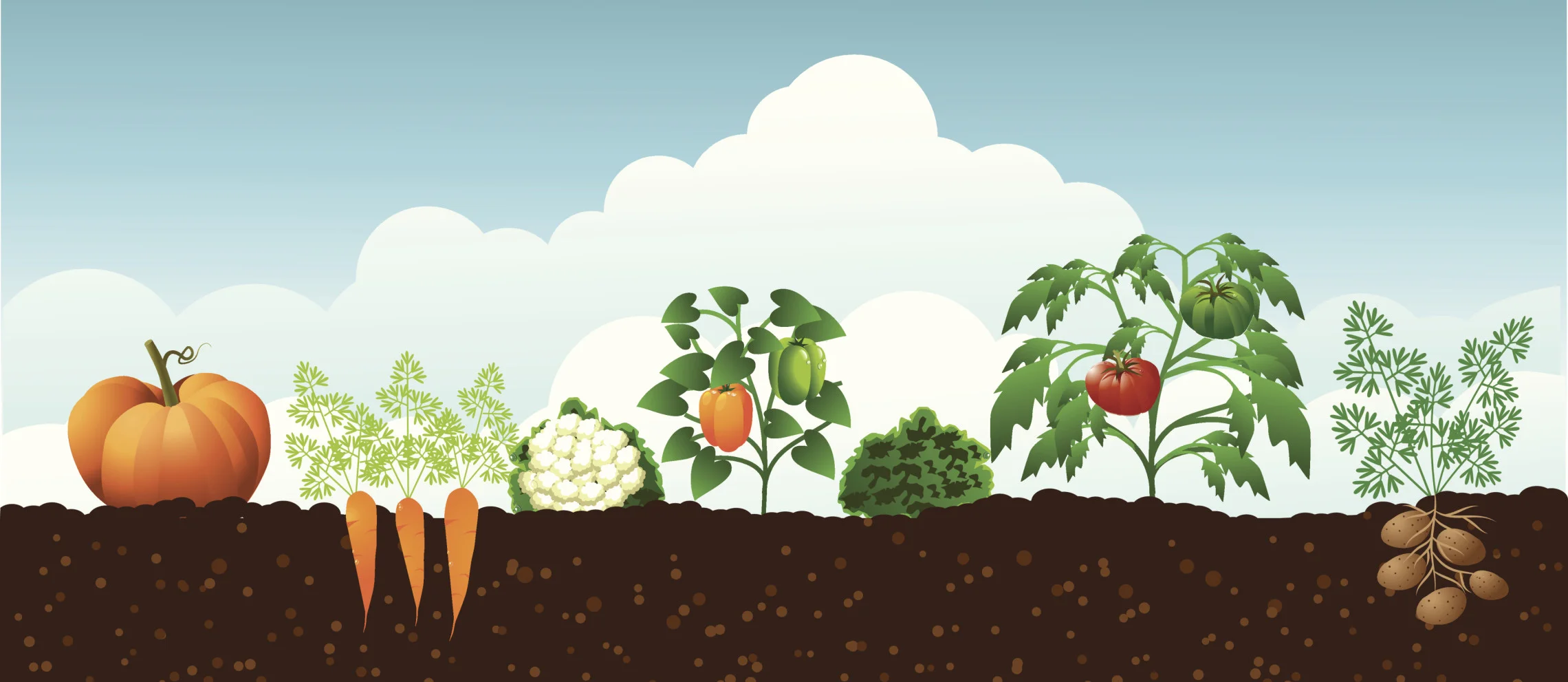 garden.jpg