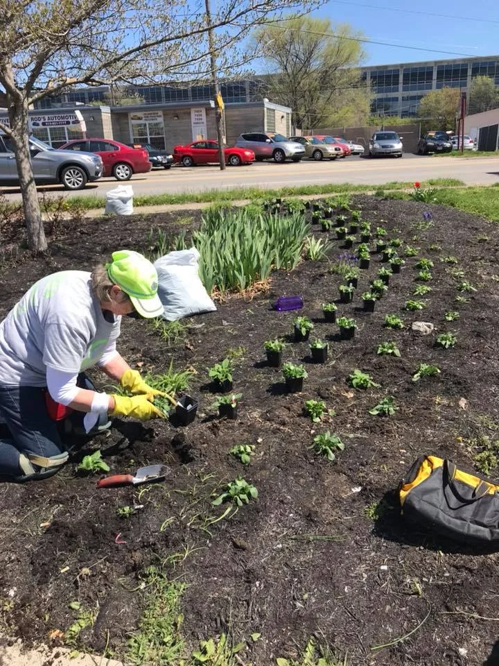 flower bed 3.jpg