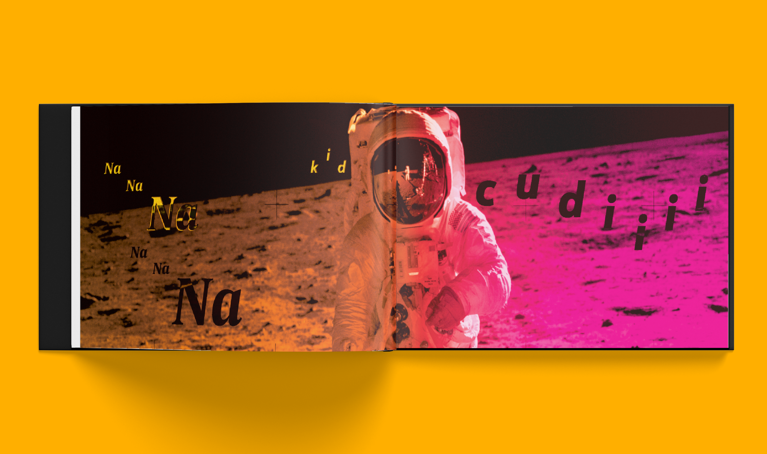 DAYnNITE11.png