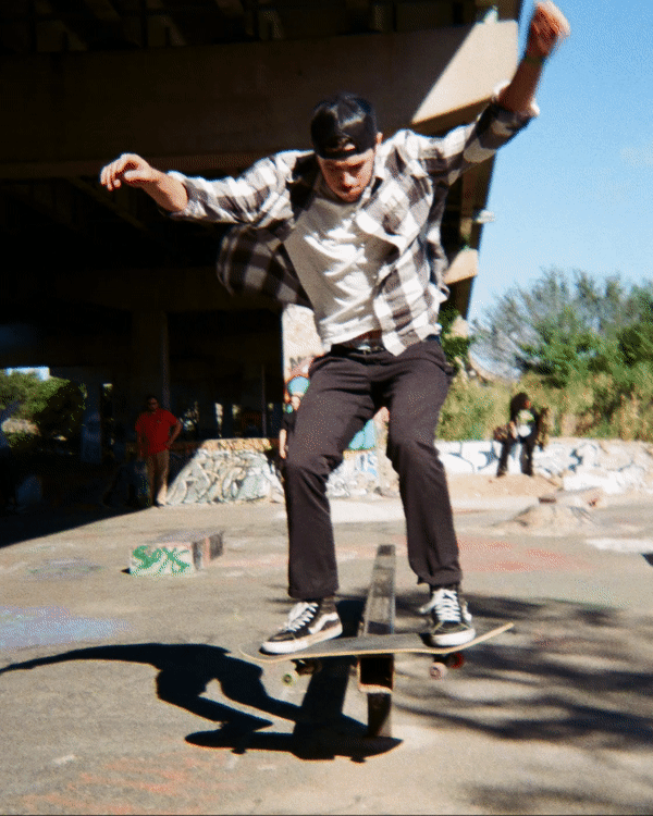 FDR2.gif