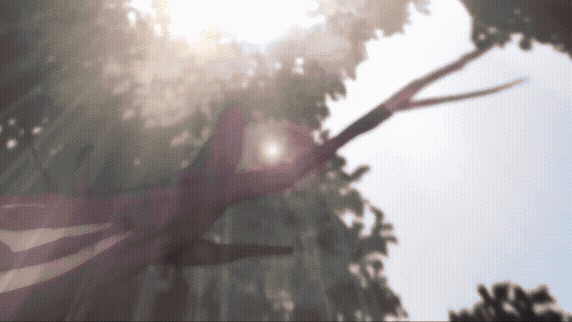 Motion Graphics
