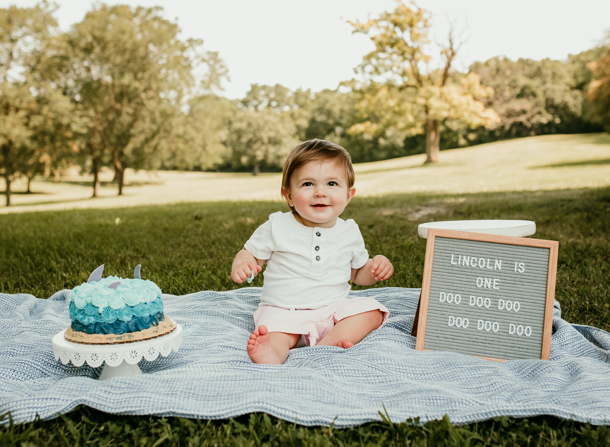 lincoln 1st bday web_-4.jpg