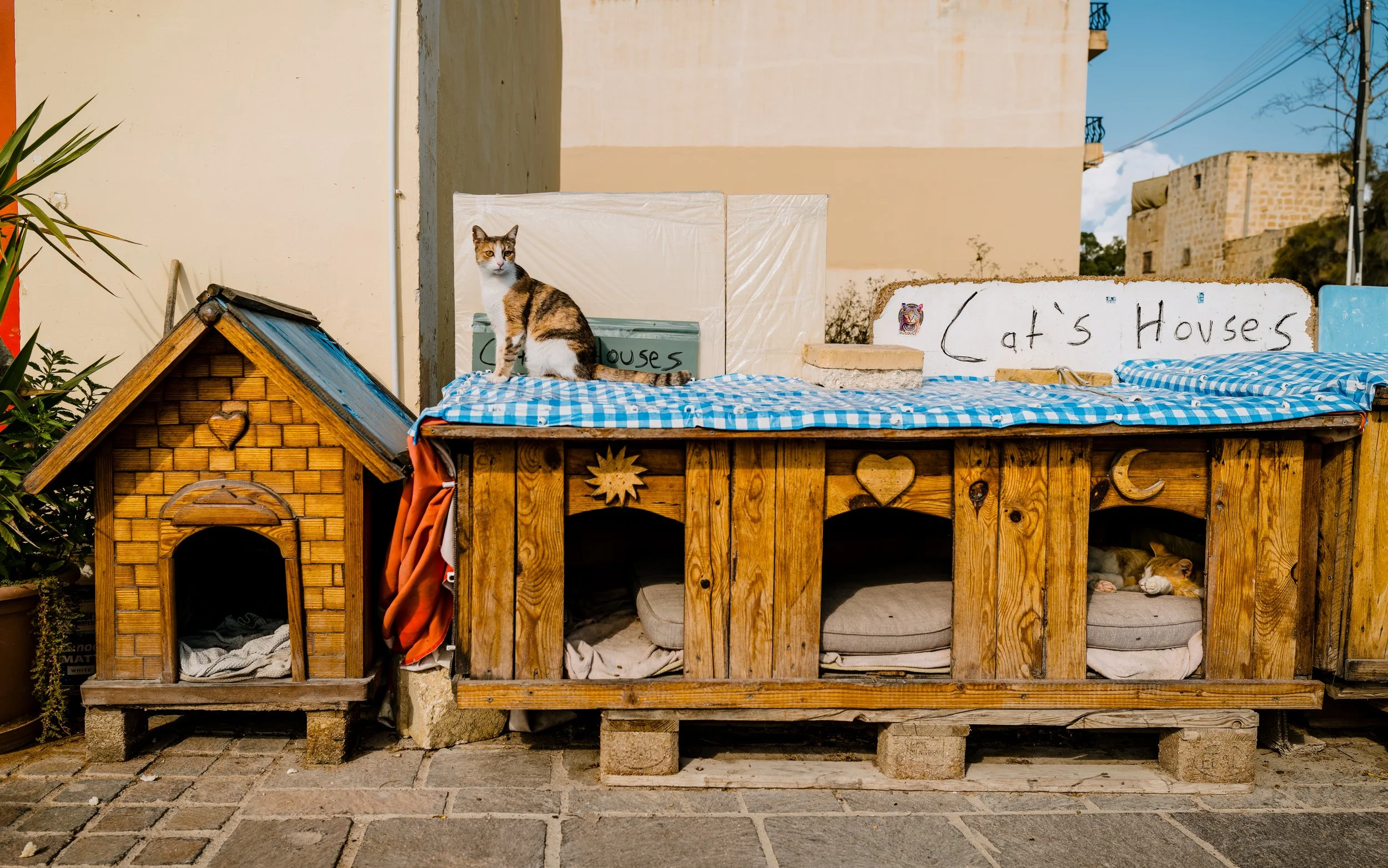 The Cat Houses of Marsaxlokk