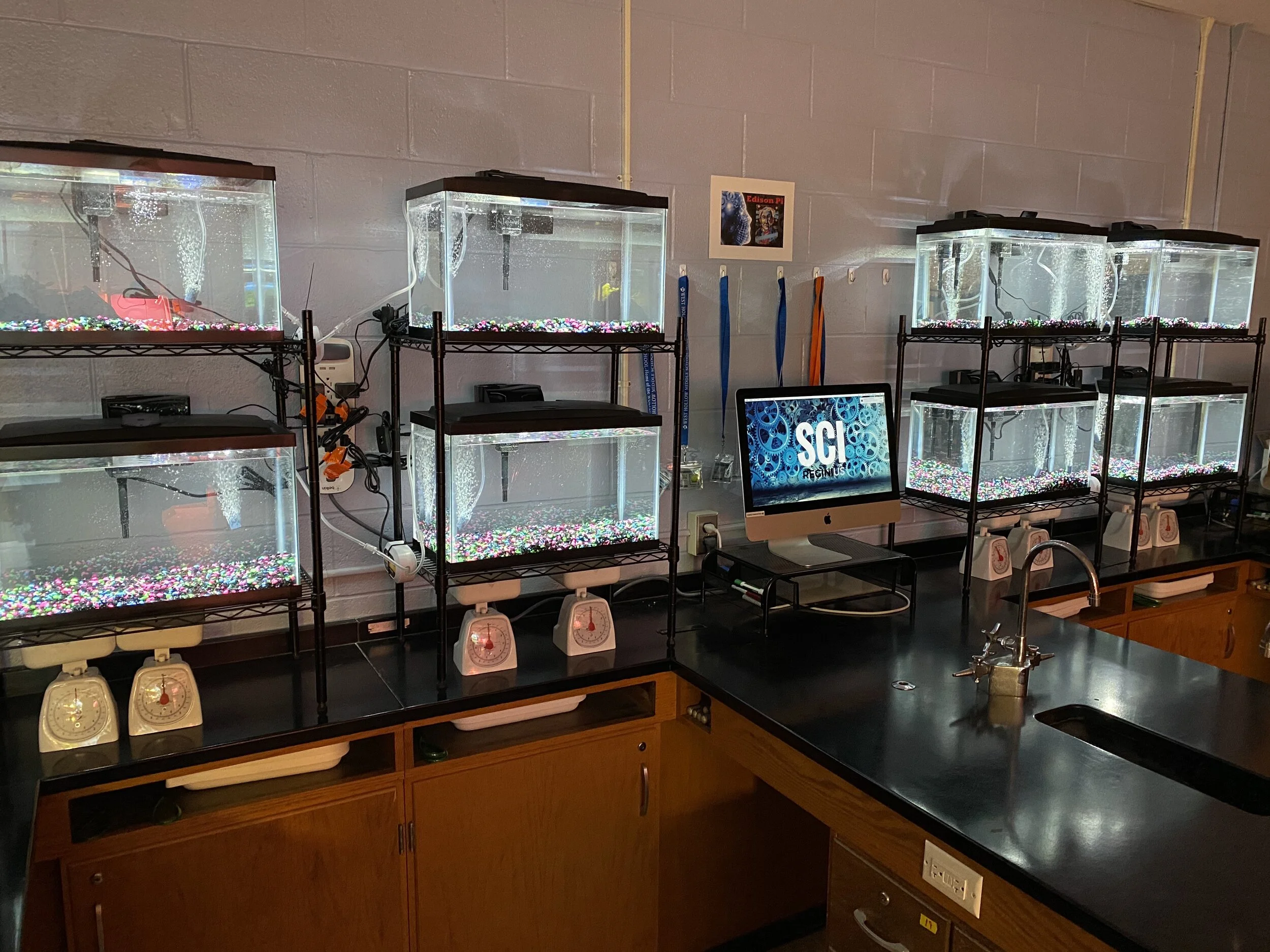 Our Aquaculture Farm