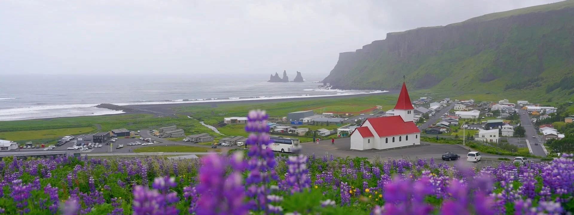 Red-roofed church above the town of Vík, Iceland, with purple lupines, a black sand beach, and sea stacks