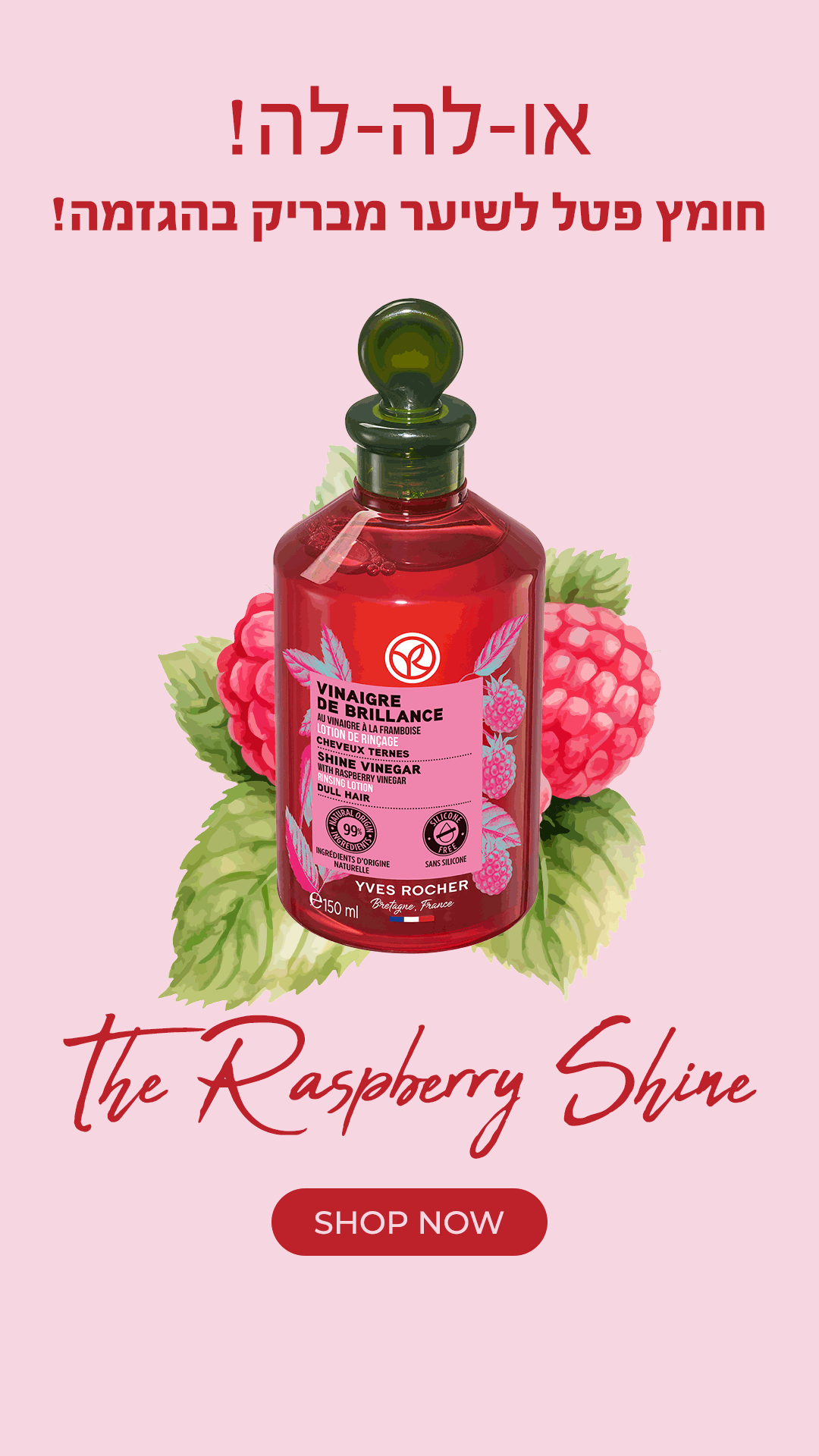 raspberry-story 3.GIF