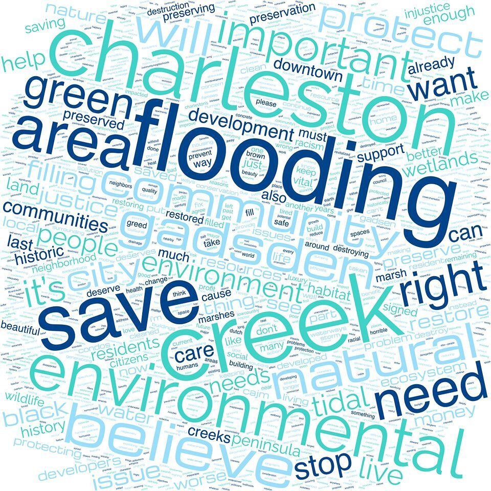 Protect. Believe. Community.

Across nearly 800 individual comments submitted as part of this year's petition with @cajmrevolution lies one collective stance: Save Gadsden Creek.

This image illustrates the most common words used in your public comme