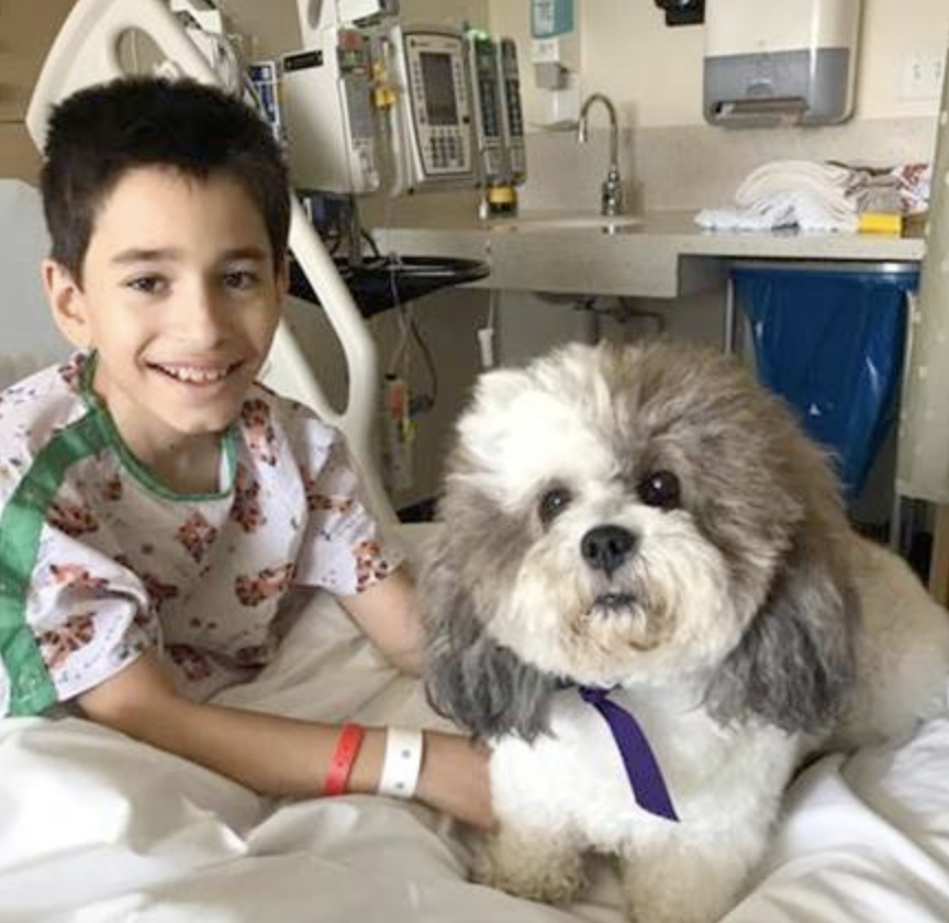 Screen Shot 2019-10-14 at 10.29.51 AM.png