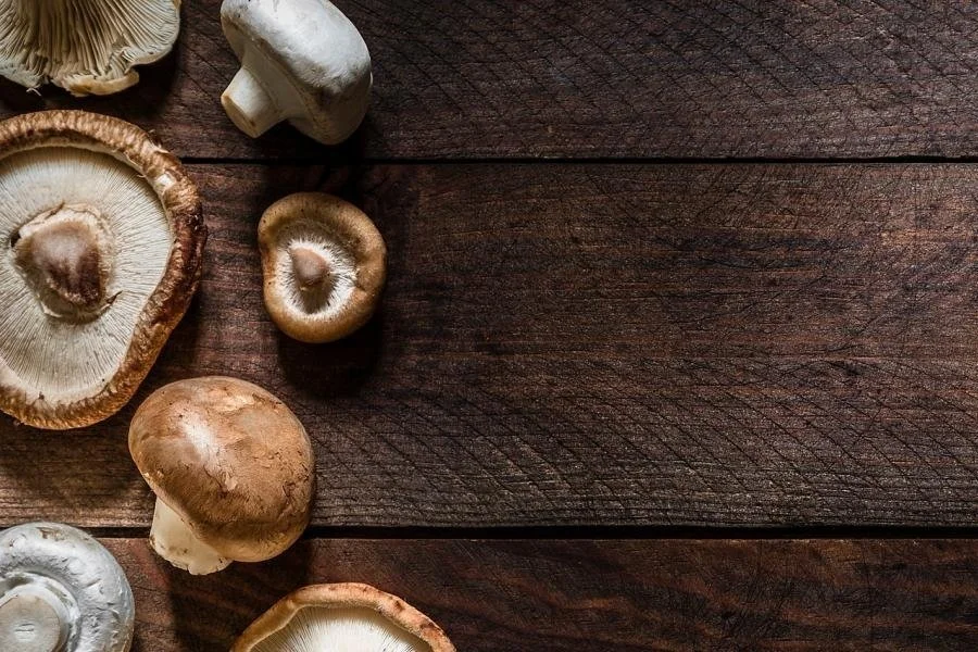 White button mushrooms could be a powerful tool against breast cancer