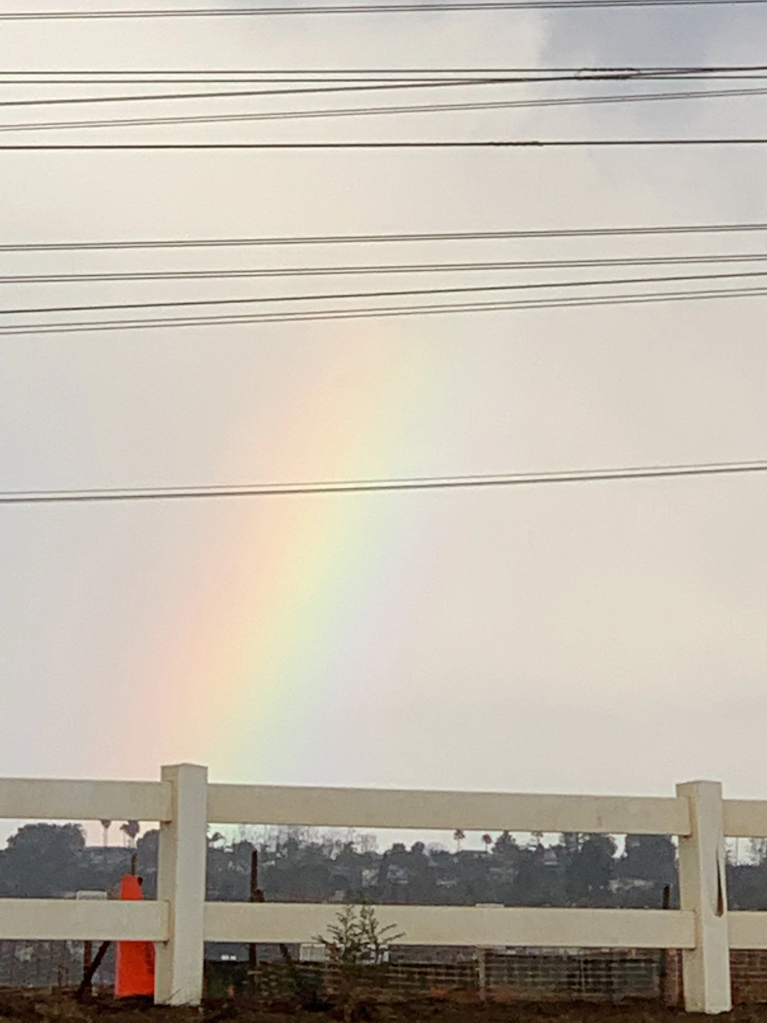 Without Rain, There are no Rainbows: When we add something bright to a dark situation we can amplify its appeal (but this is not a good vibes only post!)