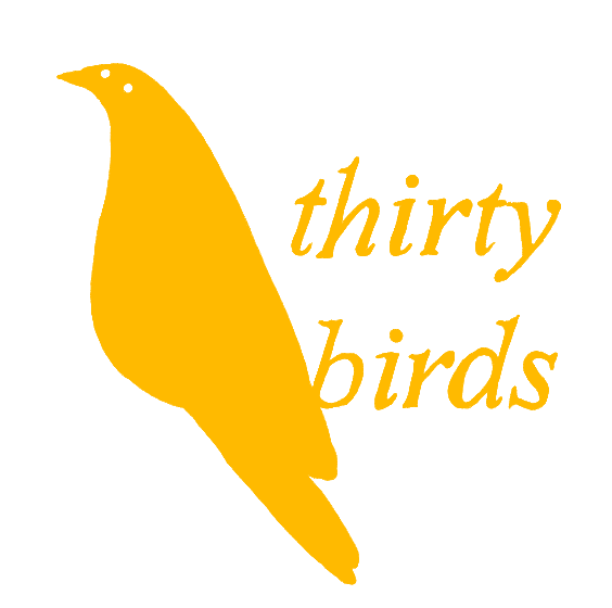 thirty birds